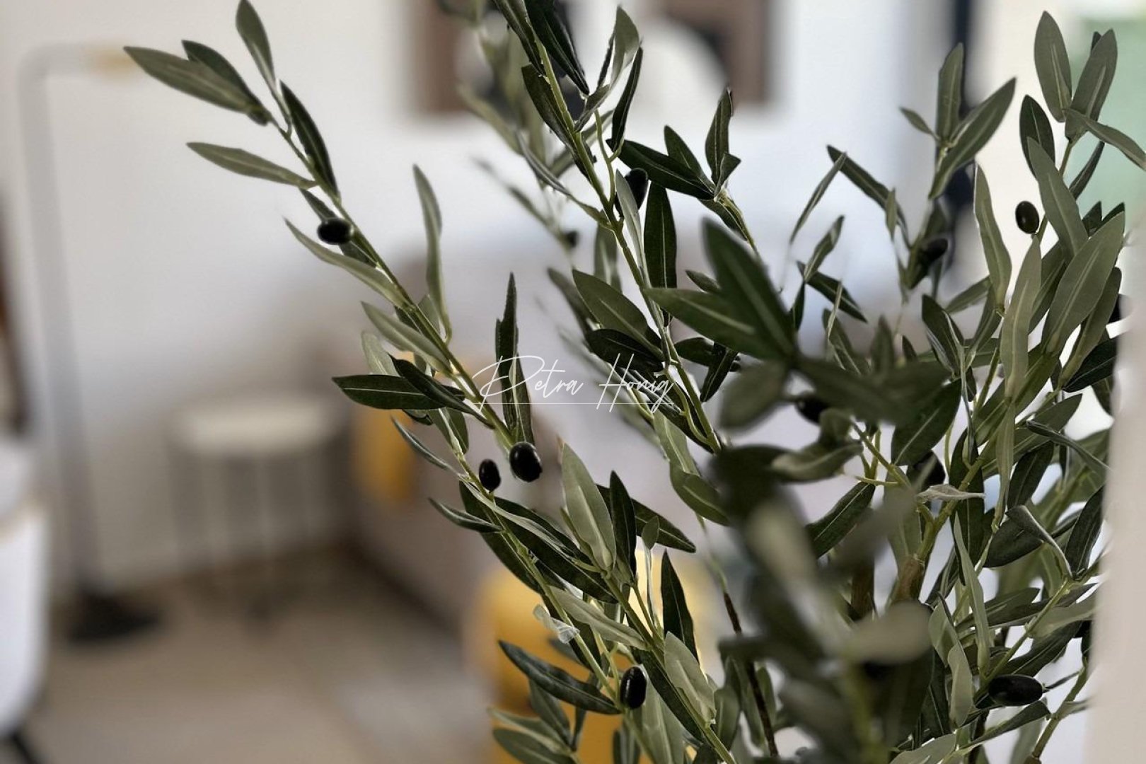 новый - Bungalow - San Fulgencio - Pueblo