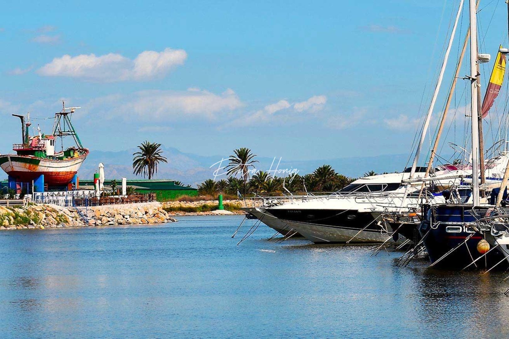 новый -  квартира - Guardamar del Segura - Avda del Puerto