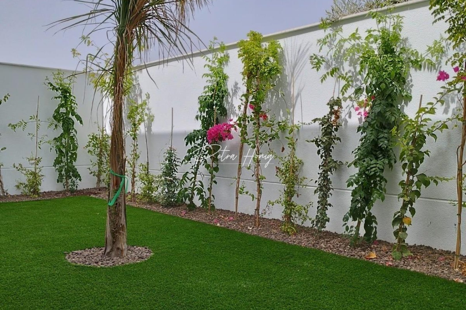 новый - Вилла - Other areas - Parque del doce