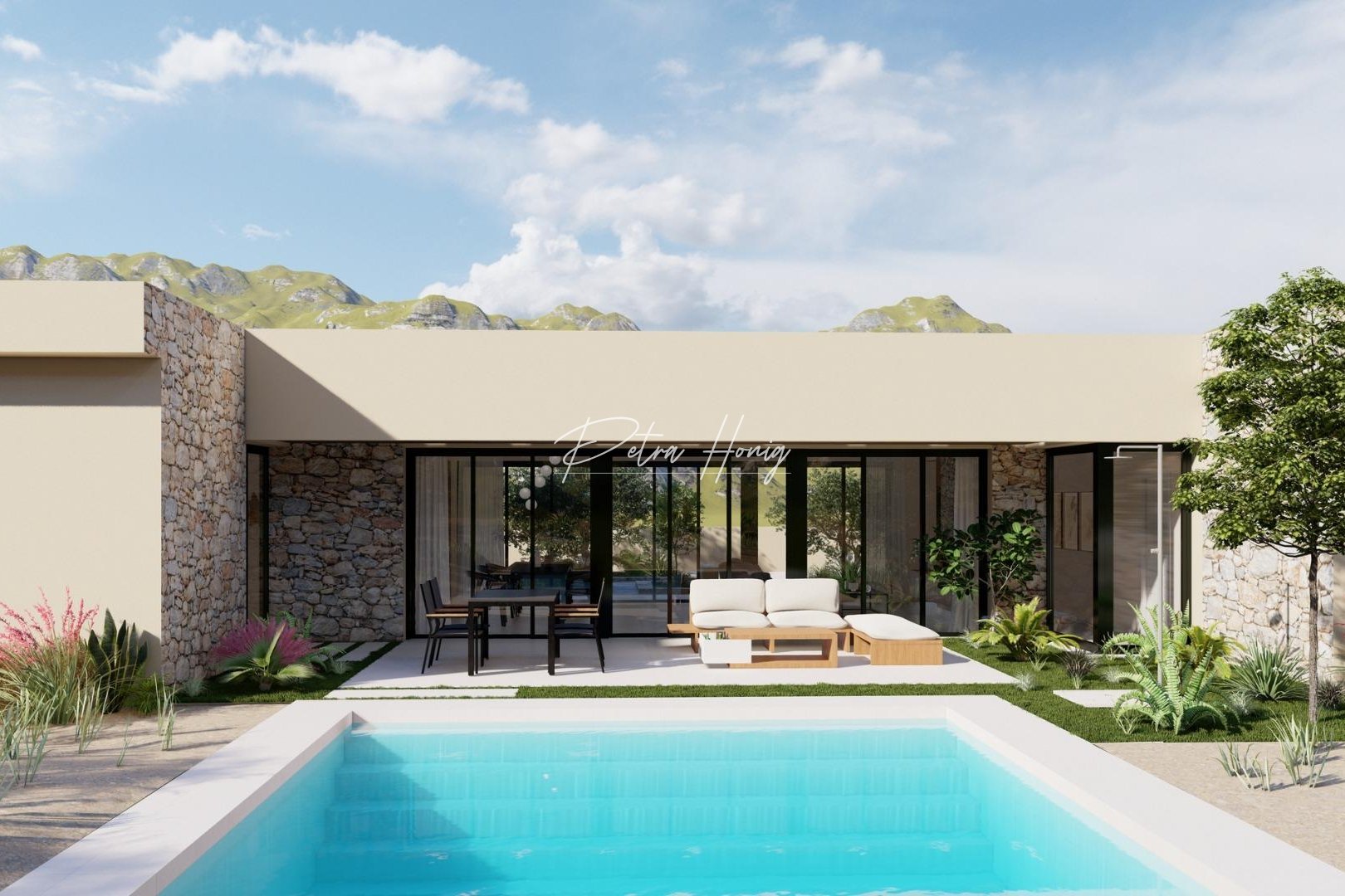 новый - Вилла - Other areas - Yecla