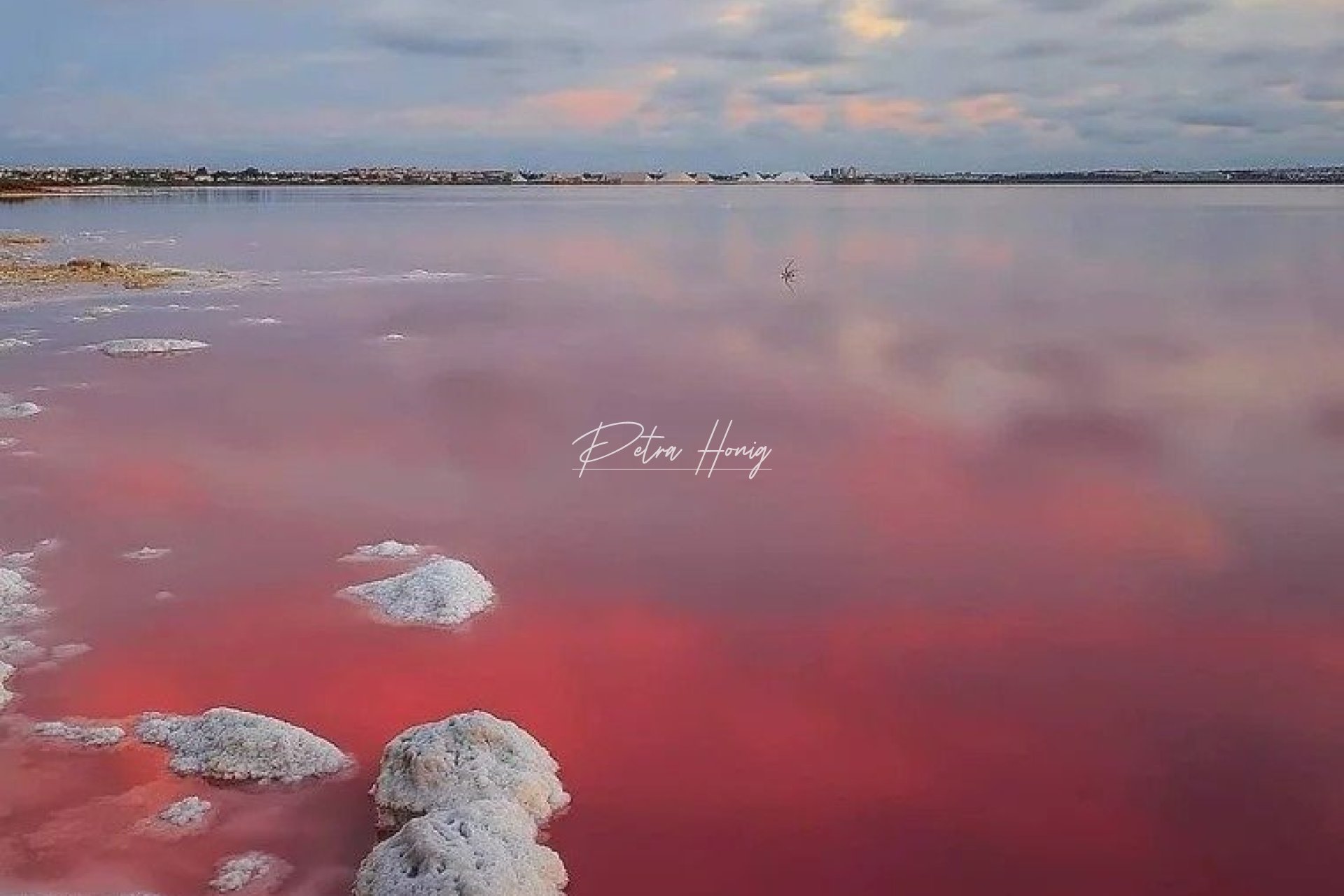 новый - Вилла - Torrevieja - Lago Jardín II