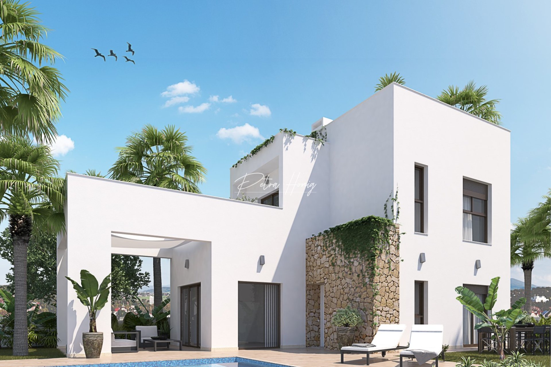 новый - Вилла - Torrevieja
