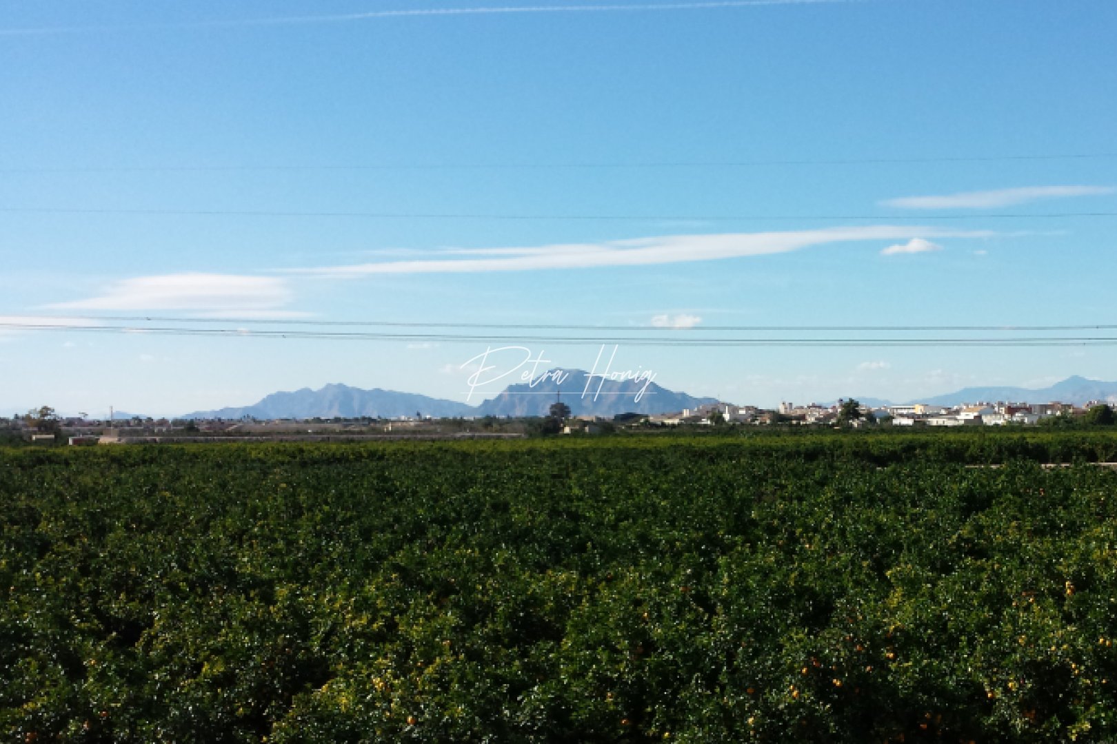ny - Finca - Ciudad Quesada