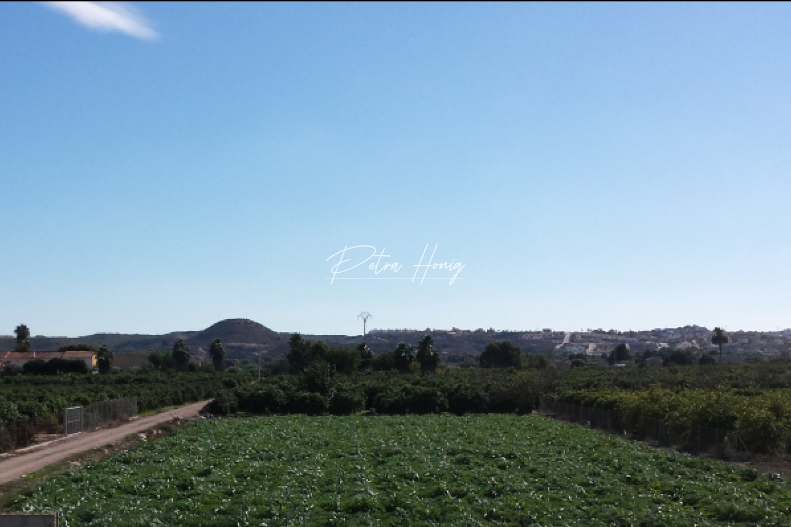 ny - Finca - Ciudad Quesada