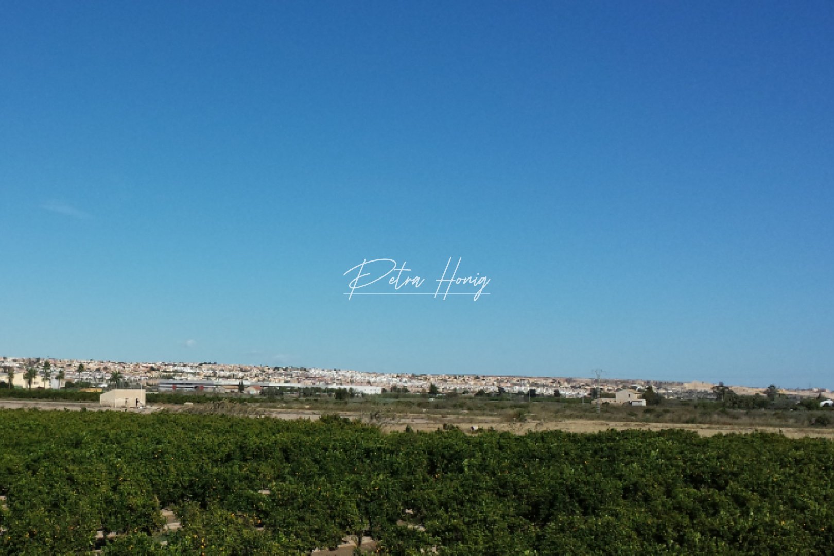 ny - Finca - Ciudad Quesada