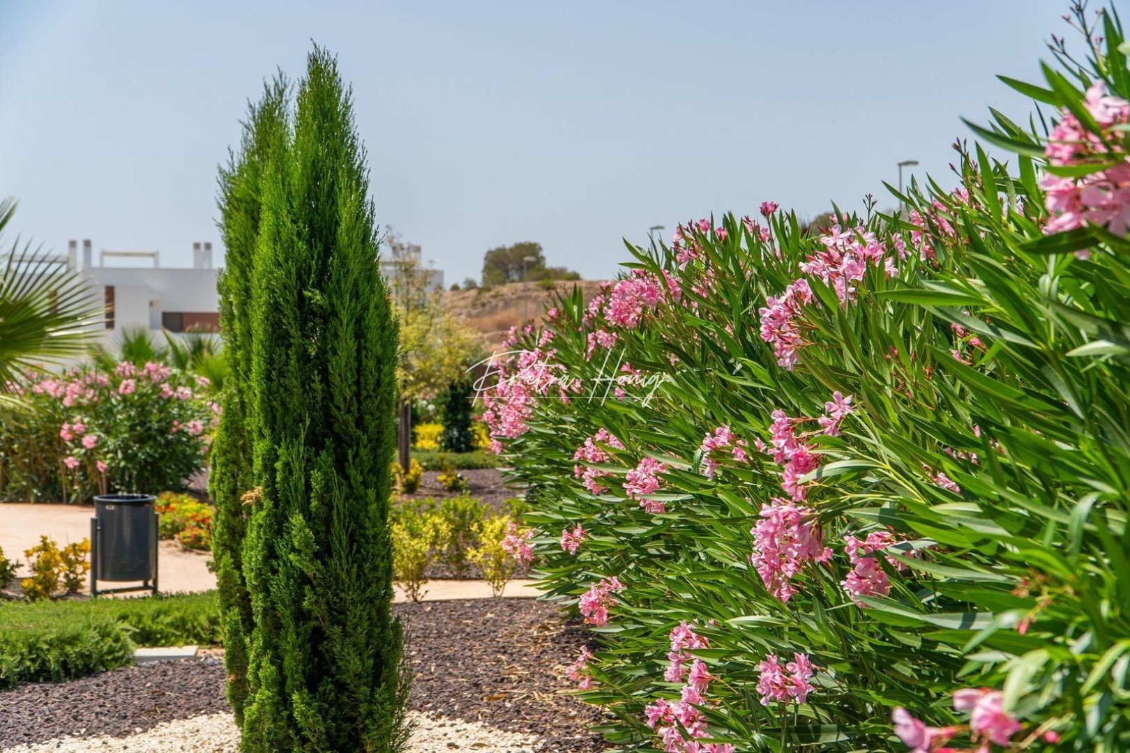 ny - lejlighed - Orihuela Costa - Vistabella golf