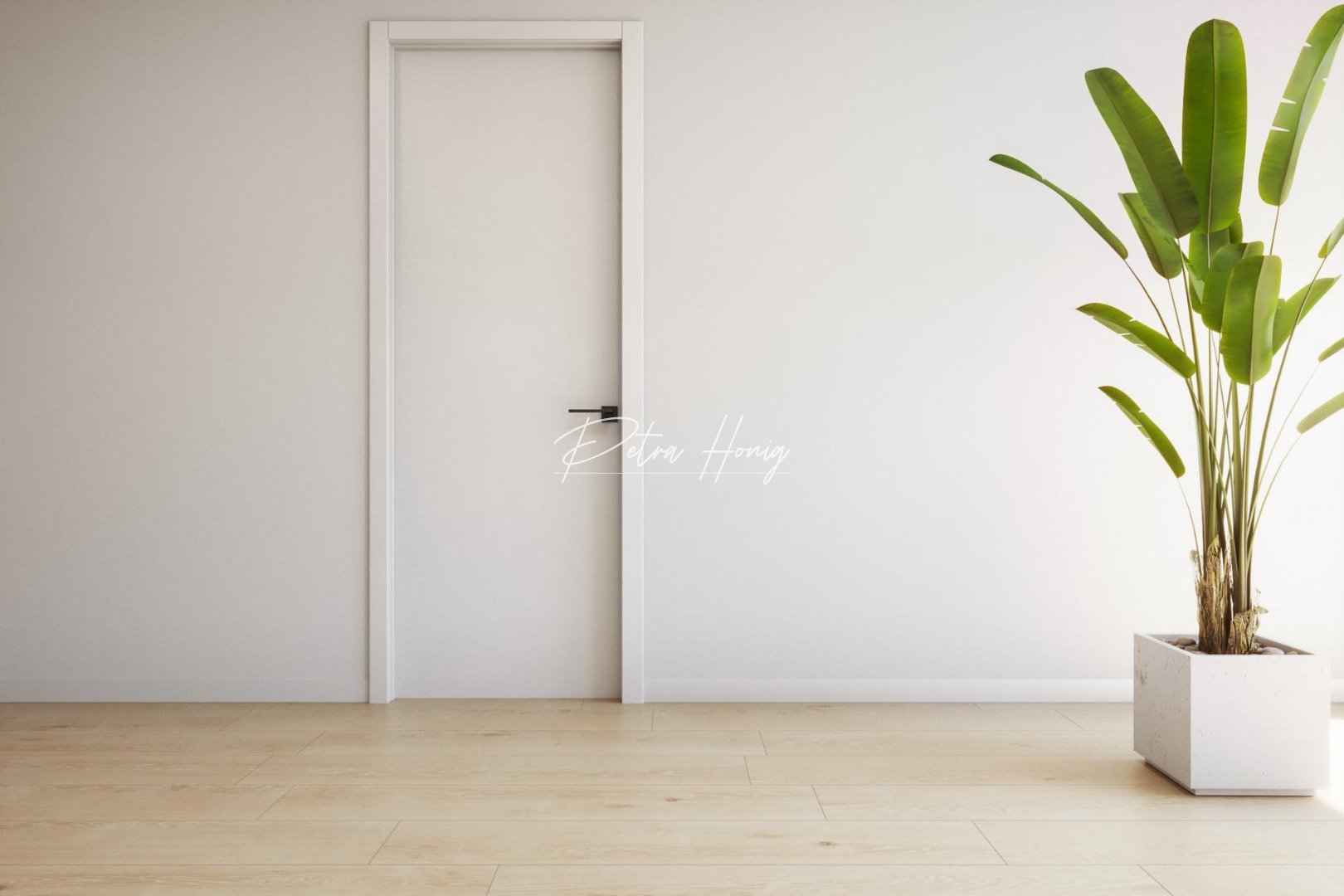 ny - lejlighed - Torrevieja - Playa de El Cura