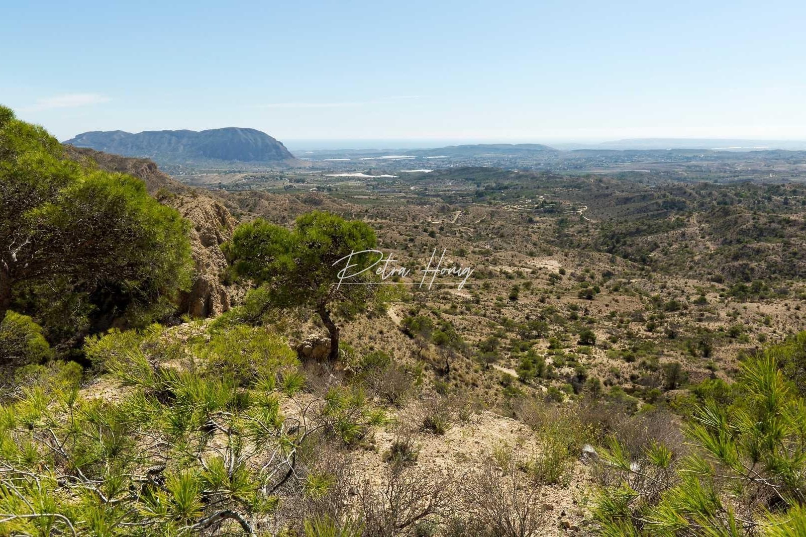 ny - Villa - Aspe - Centro