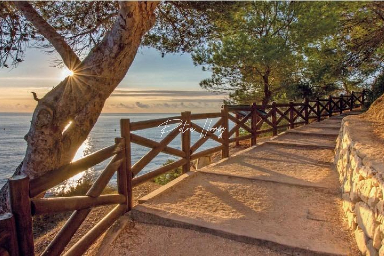 ny - Villa - Other areas - Cala Advocat