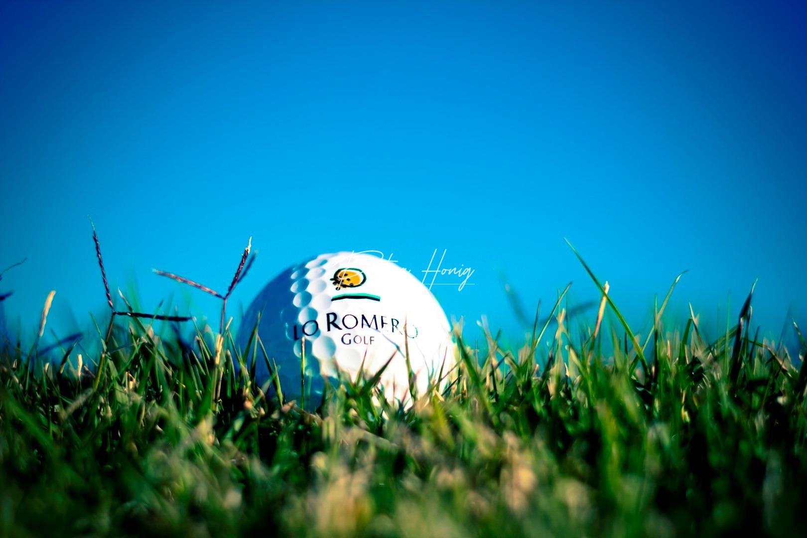 ny - Villa - Pilar de La Horadada - Lo Romero Golf