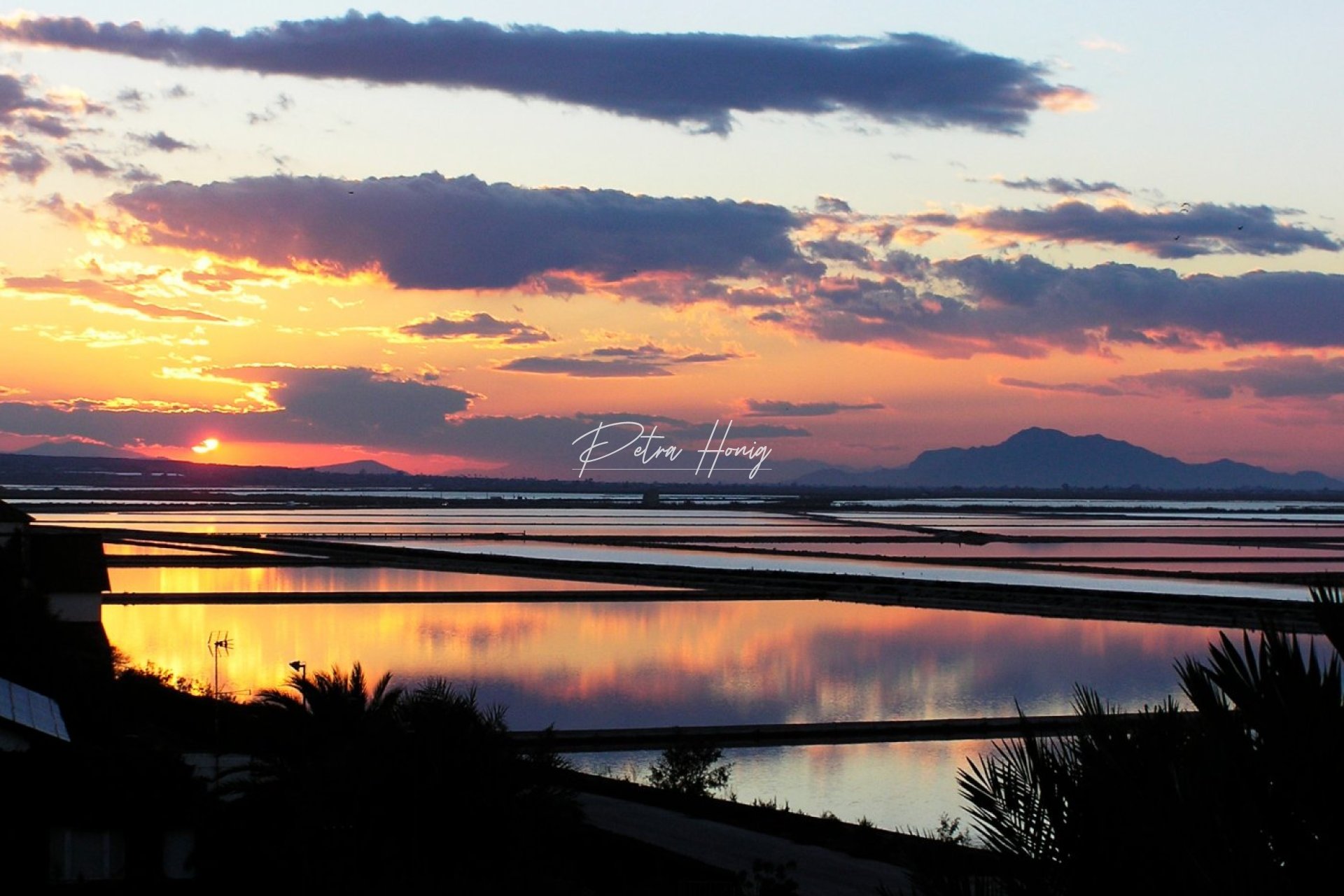 Nybygg - Leilighet - Gran Alacant