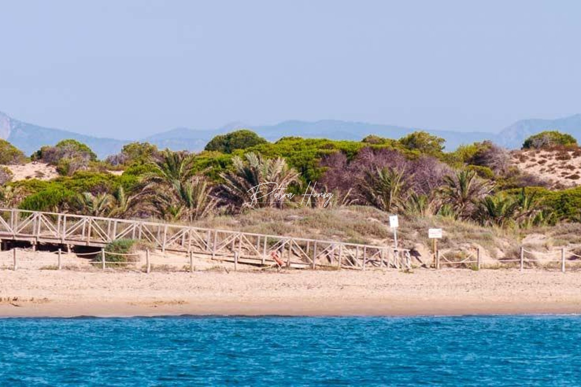 Nybygg - Leilighet - Guardamar del Segura - Pueblo