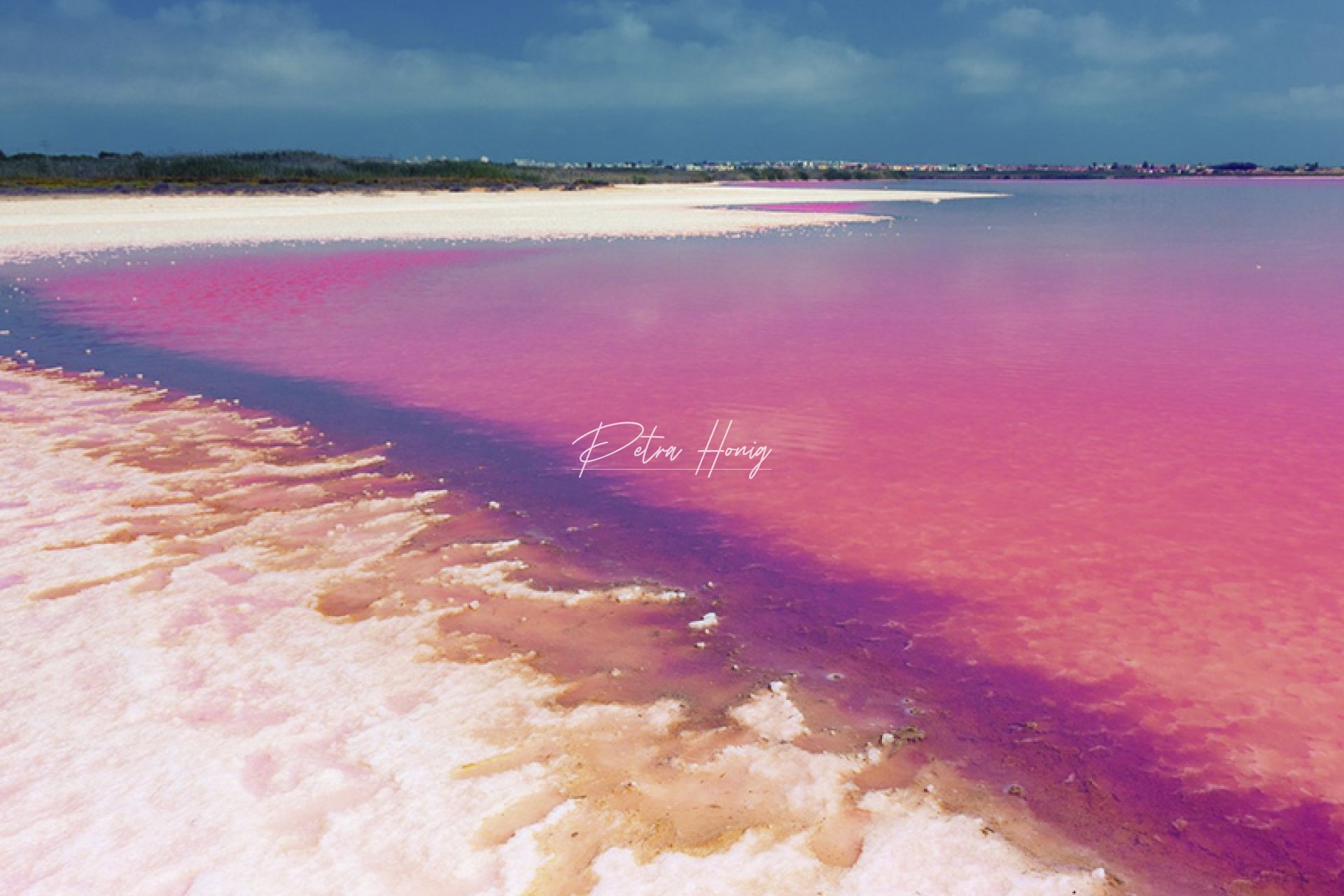 Nybygg - Leilighet - Playa Flamenca