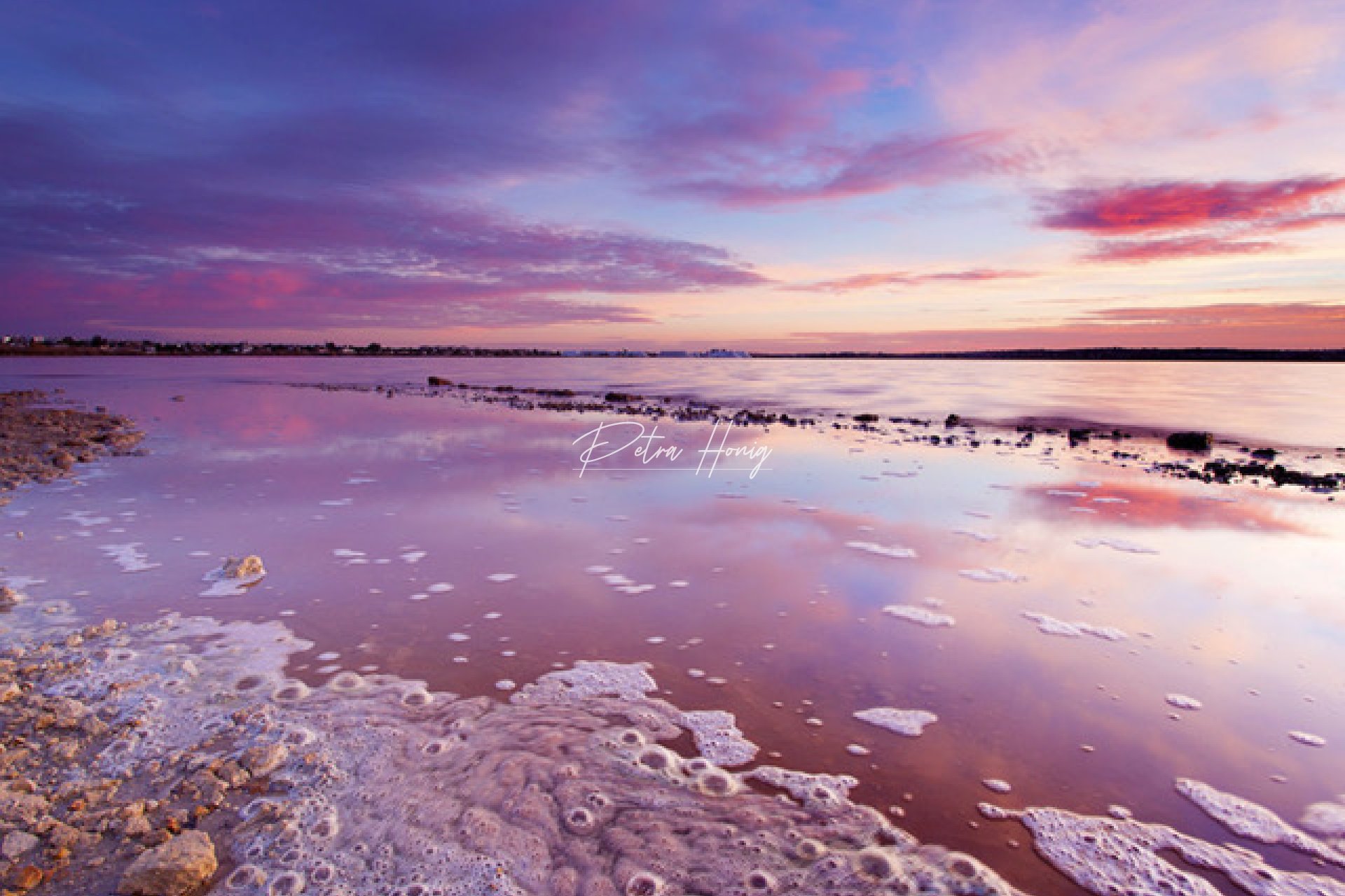 Nybygg - Leilighet - Playa Flamenca