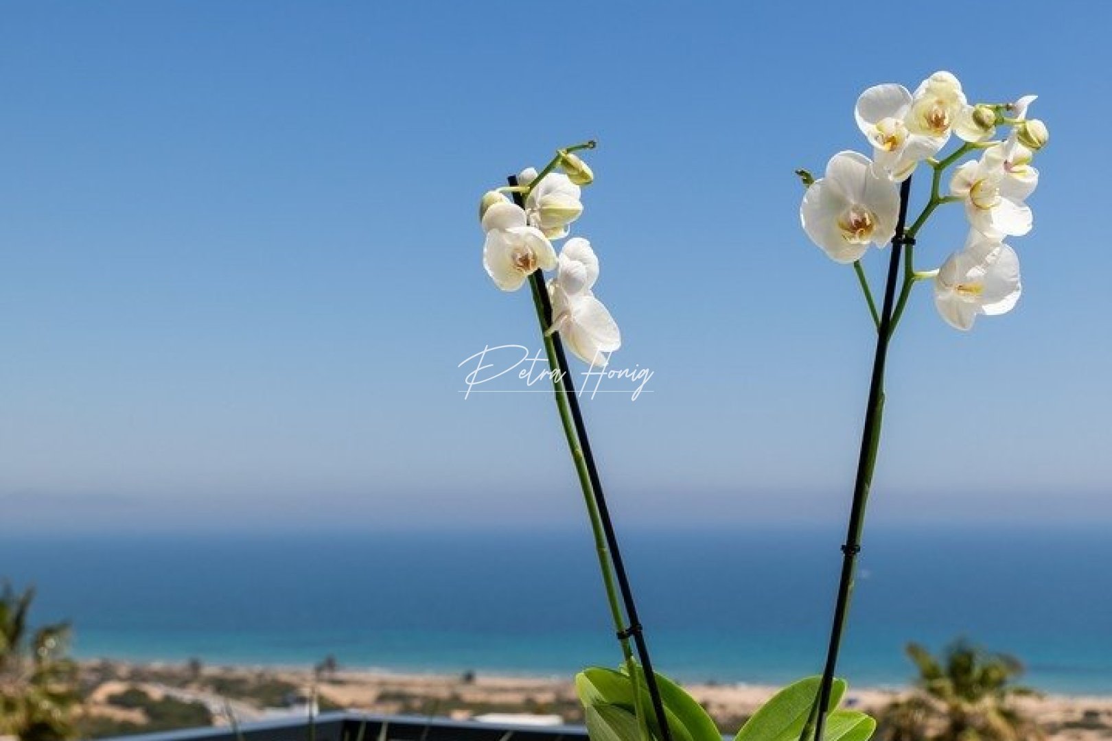 Nybygg - Leilighet - Santa Pola - Gran Alacant