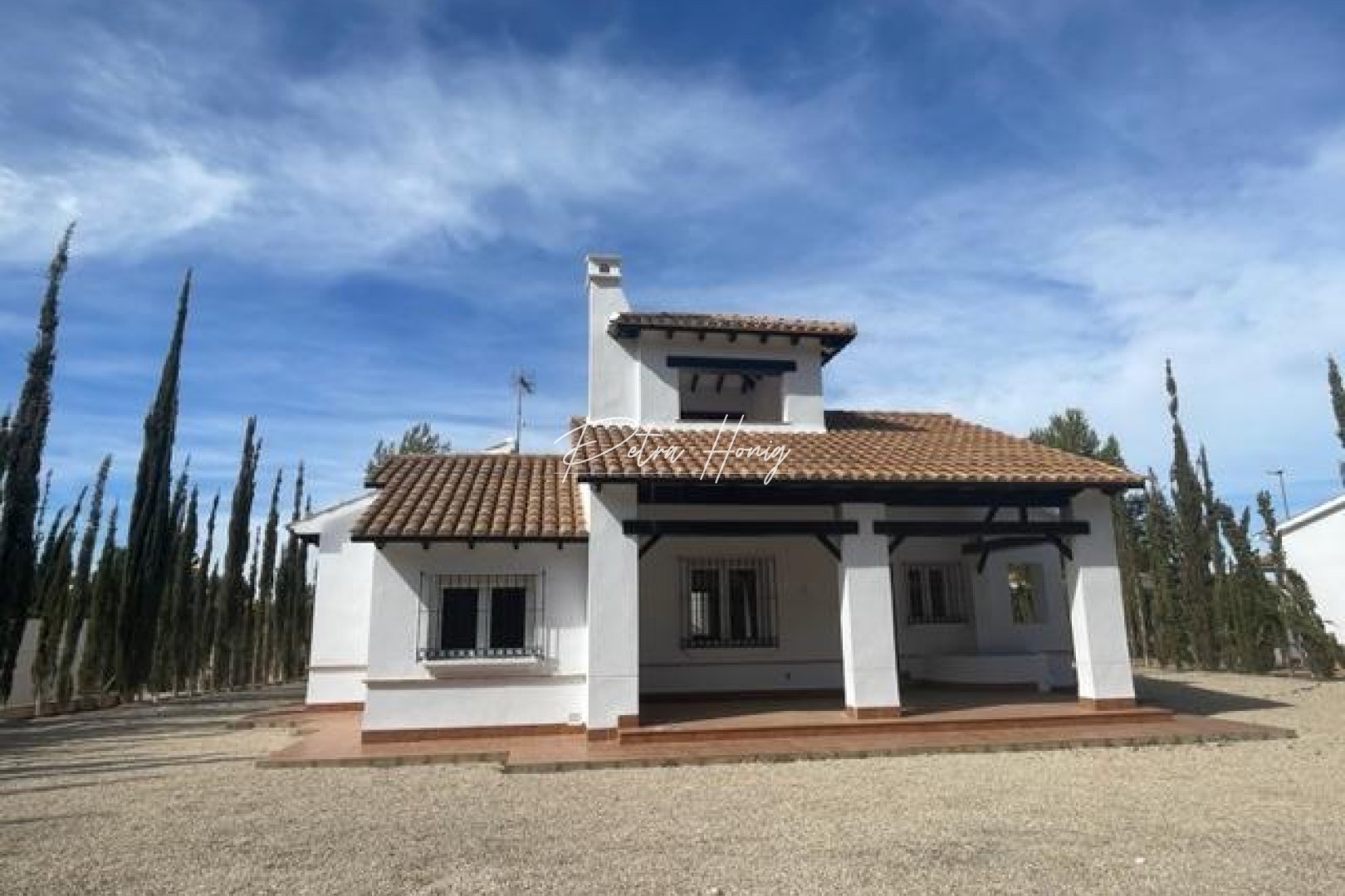 Nybygg - Villa - Other areas - Las Palas