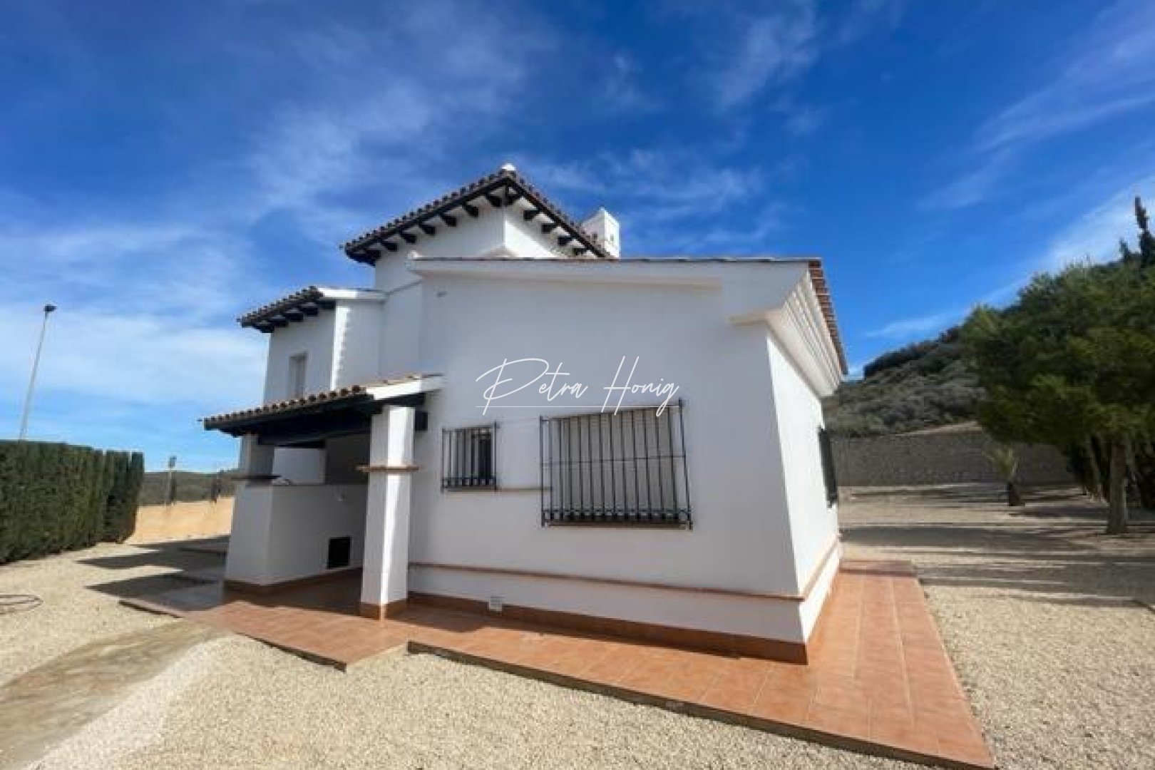 Nybygg - Villa - Other areas - Las Palas