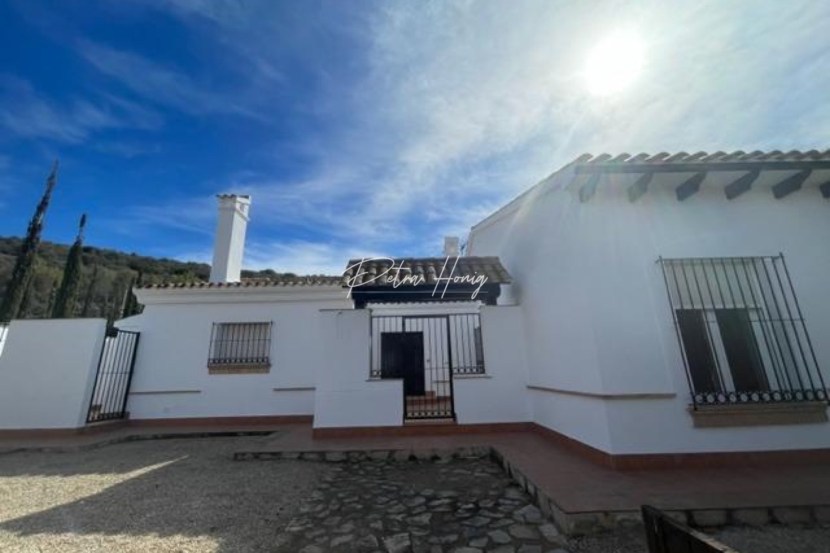 Nybygg - Villa - Other areas - Las Palas