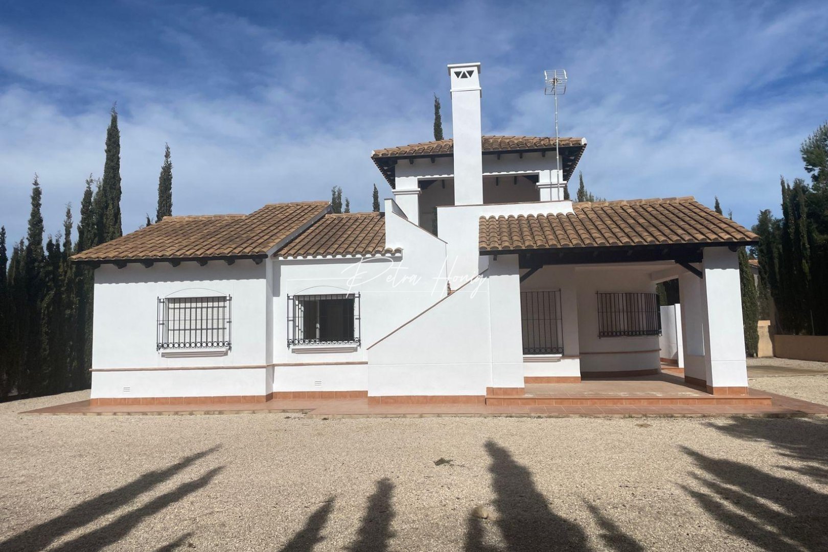 Nybygg - Villa - Other areas - Las Palas