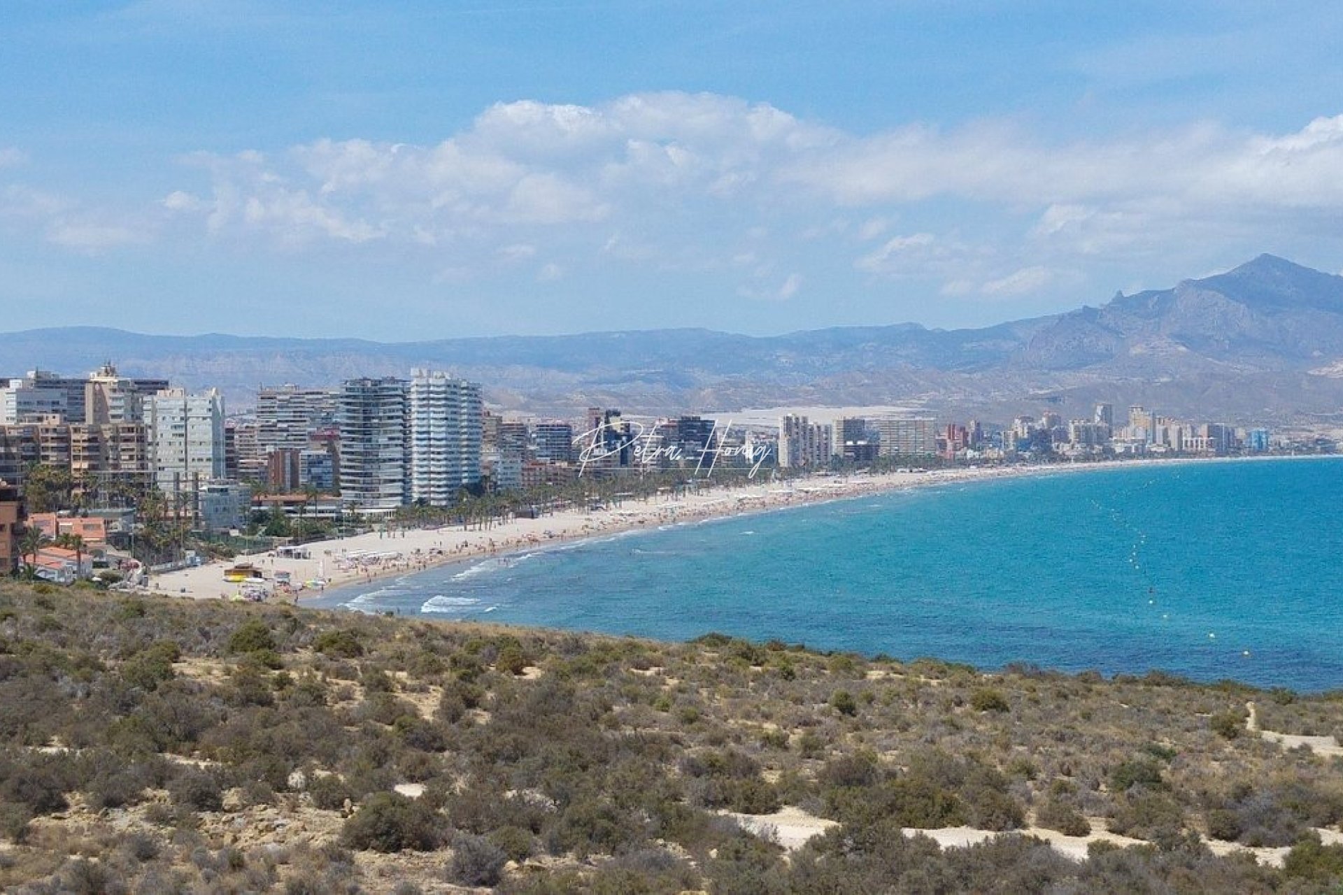 Obra Nueva - Apartamento - Alicante - Franc Espinós