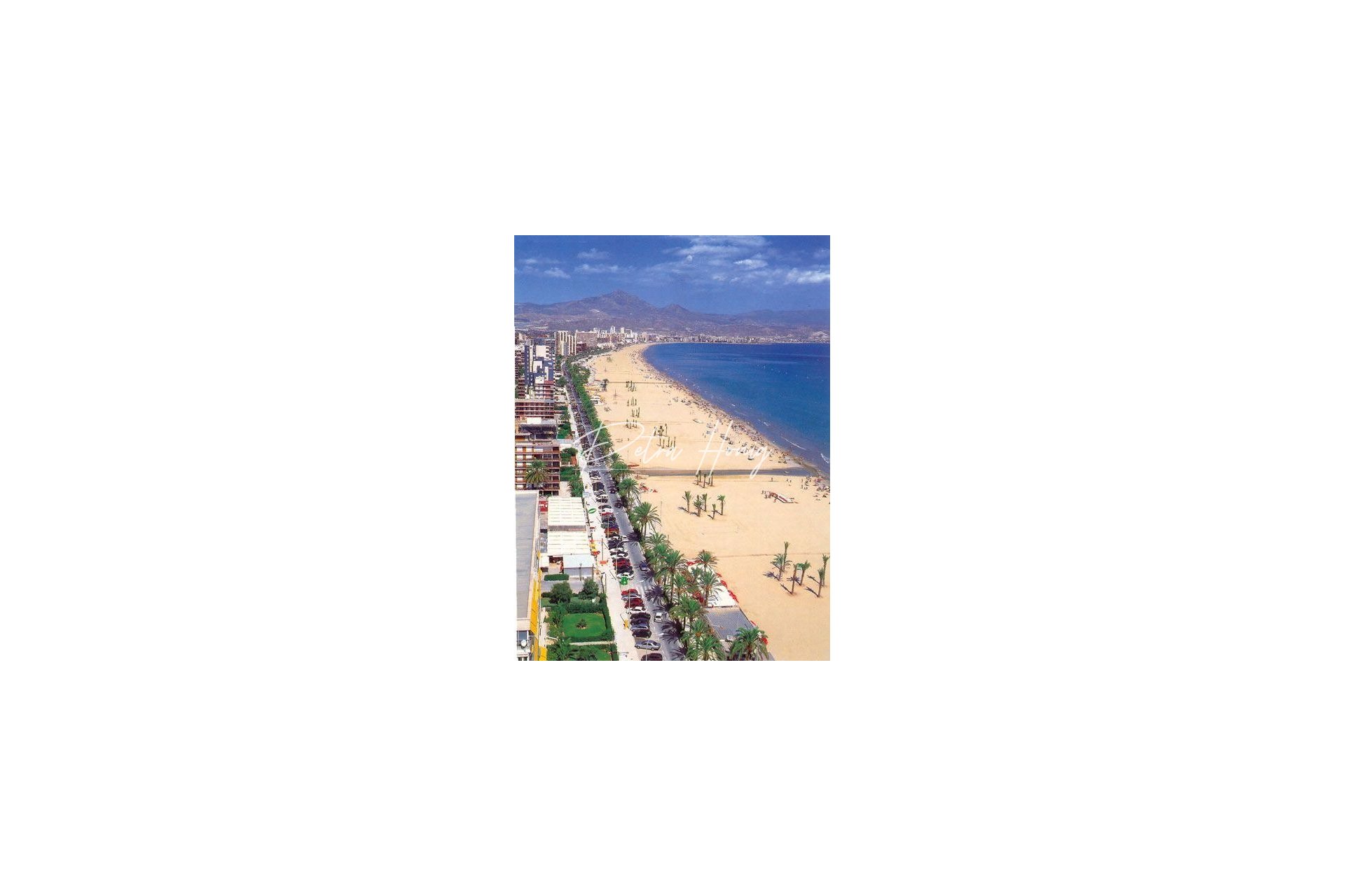 Obra Nueva - Apartamento - Alicante - Franc Espinós
