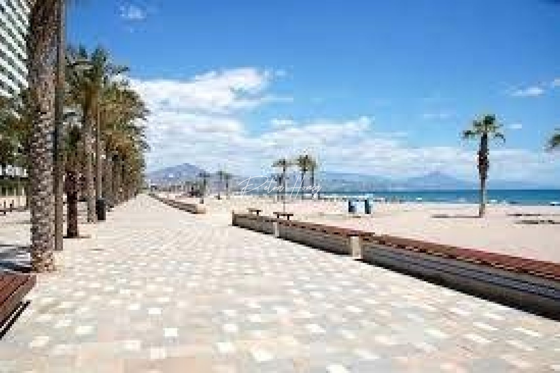 Obra Nueva - Apartamento - Alicante - Franc Espinós
