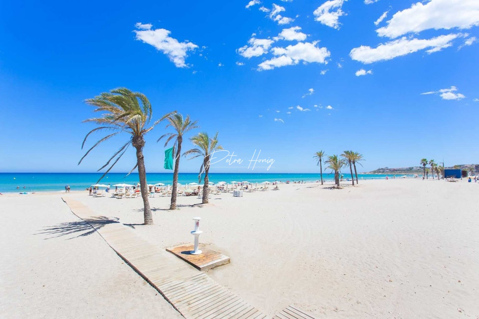 Obra Nueva - Apartamento - Alicante - Franc Espinós