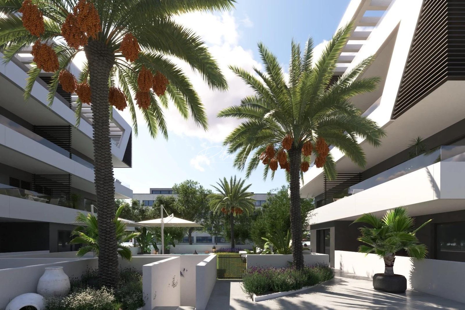 Obra Nueva - Apartamento - Alicante - Nou Nazareth