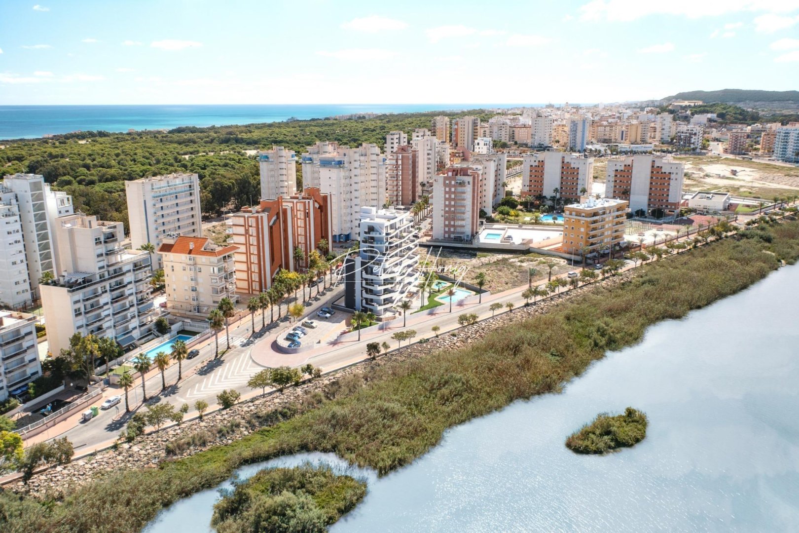 Obra Nueva - Apartamento - Guardamar del Segura - PUERTO