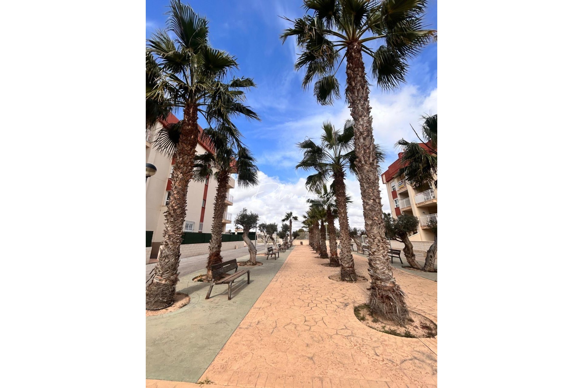 Obra Nueva - Apartamento - Orihuela Costa - Lomas De Cabo Roig