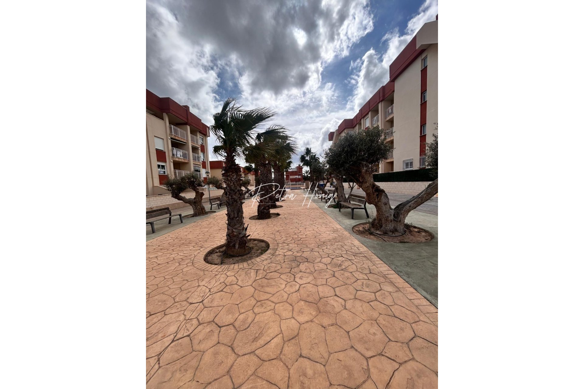 Obra Nueva - Apartamento - Orihuela Costa - Lomas De Cabo Roig