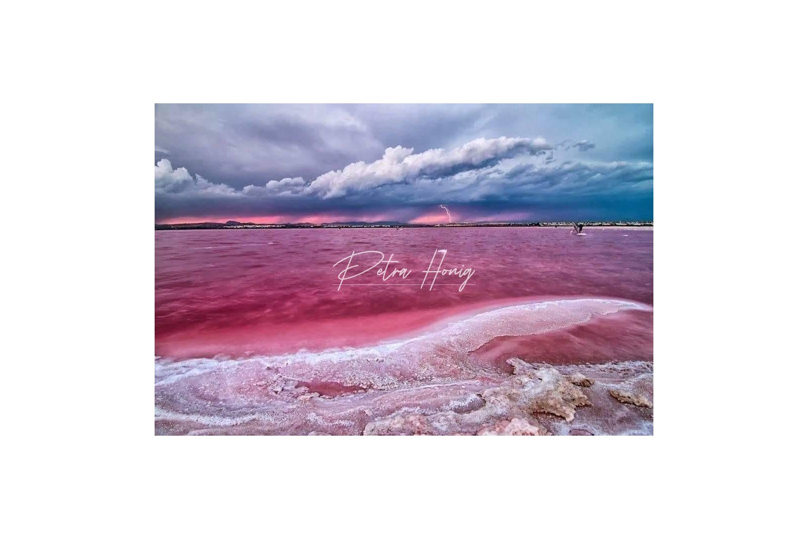 Obra Nueva - Apartamento - Torrevieja - Centro