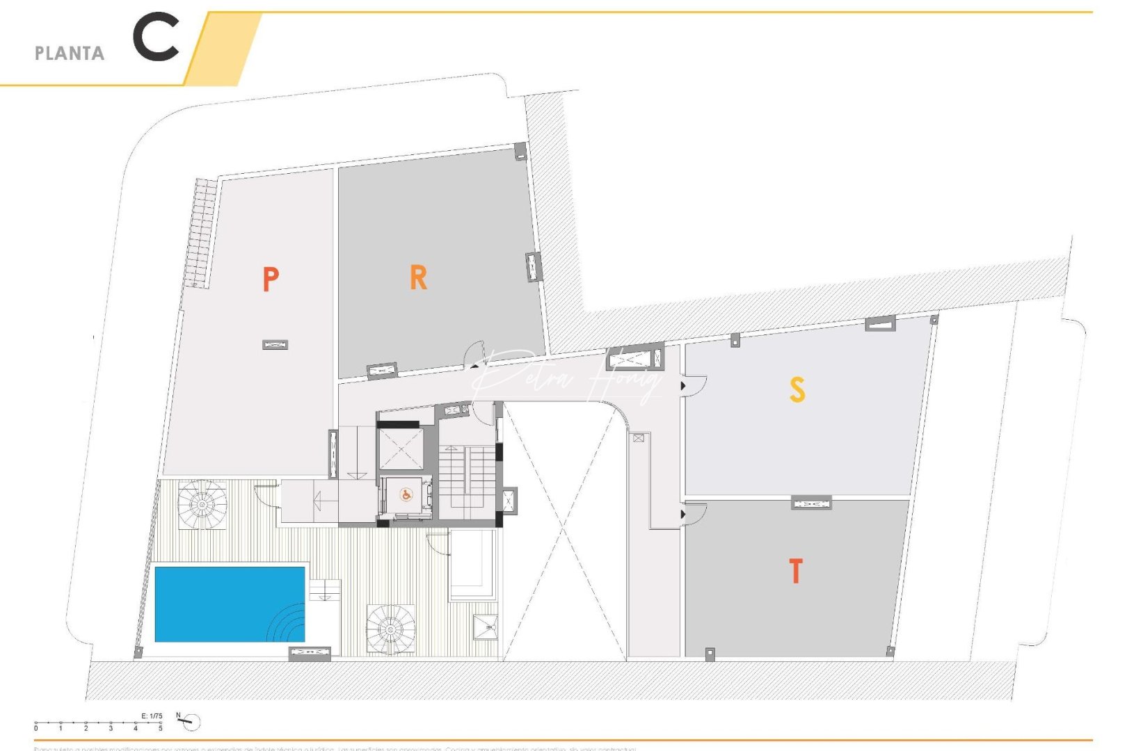 Obra Nueva - Apartamento - Torrevieja - Centro