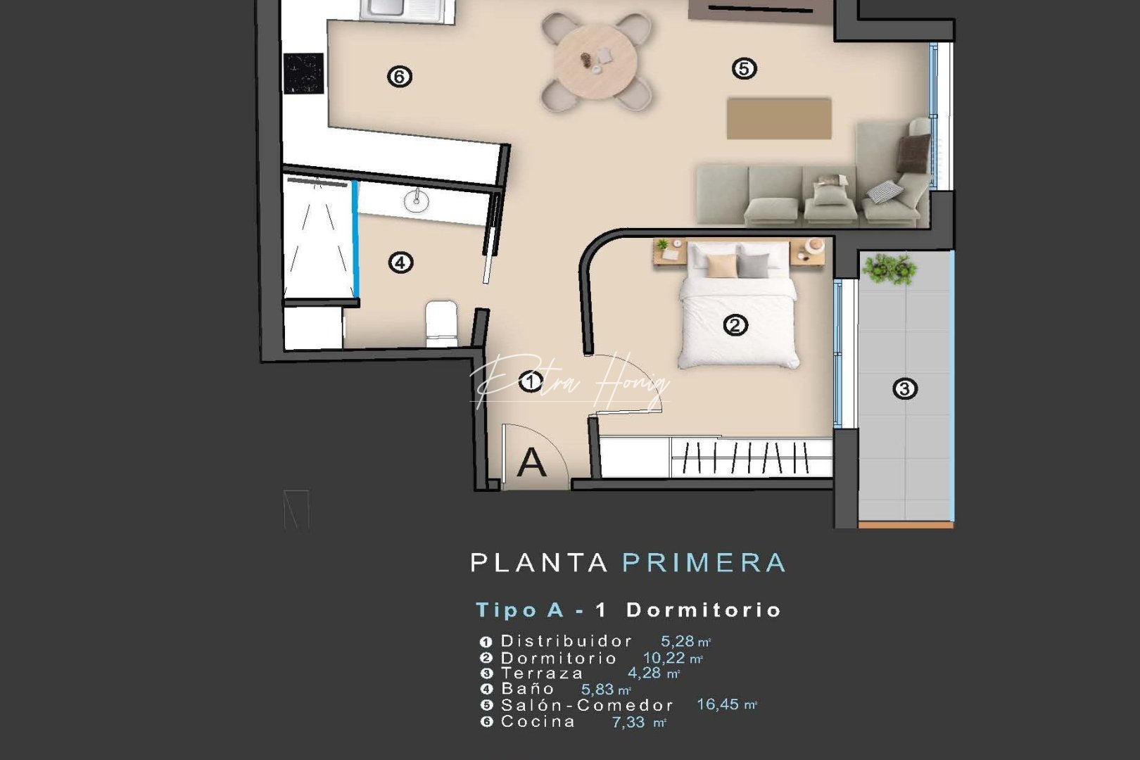 Obra Nueva - Apartamento - Torrevieja - Centro