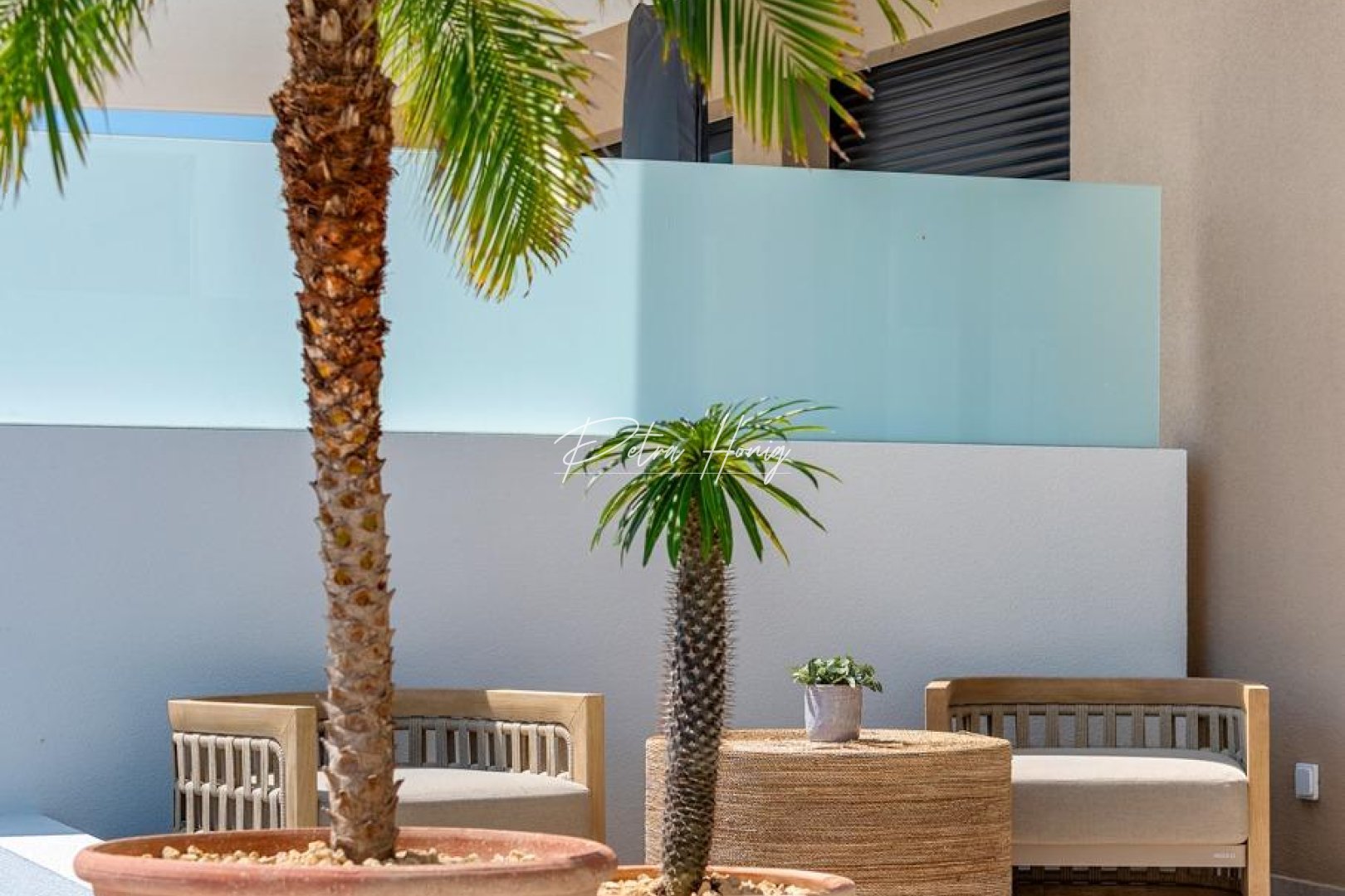 Obra Nueva - Chalet - Dolores - Sector 3