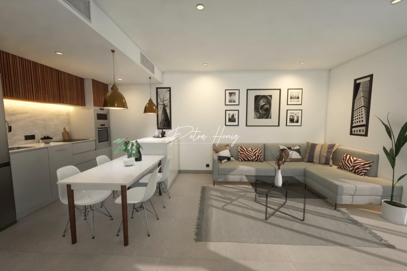 Obra Nueva - Chalet - Los Alcazares - La Concha