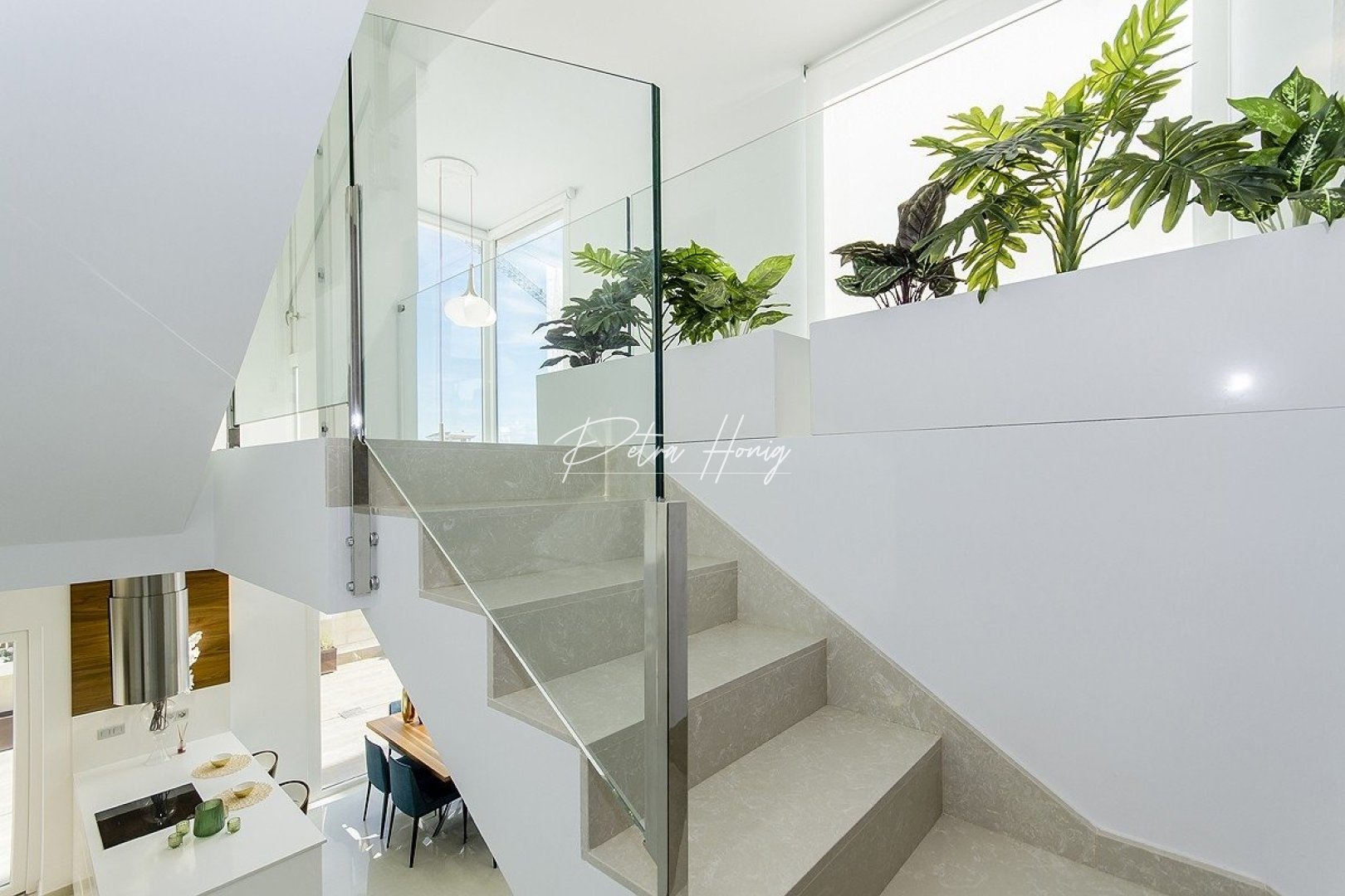 Obra Nueva - Chalet - Los Montesinos - La Herrada