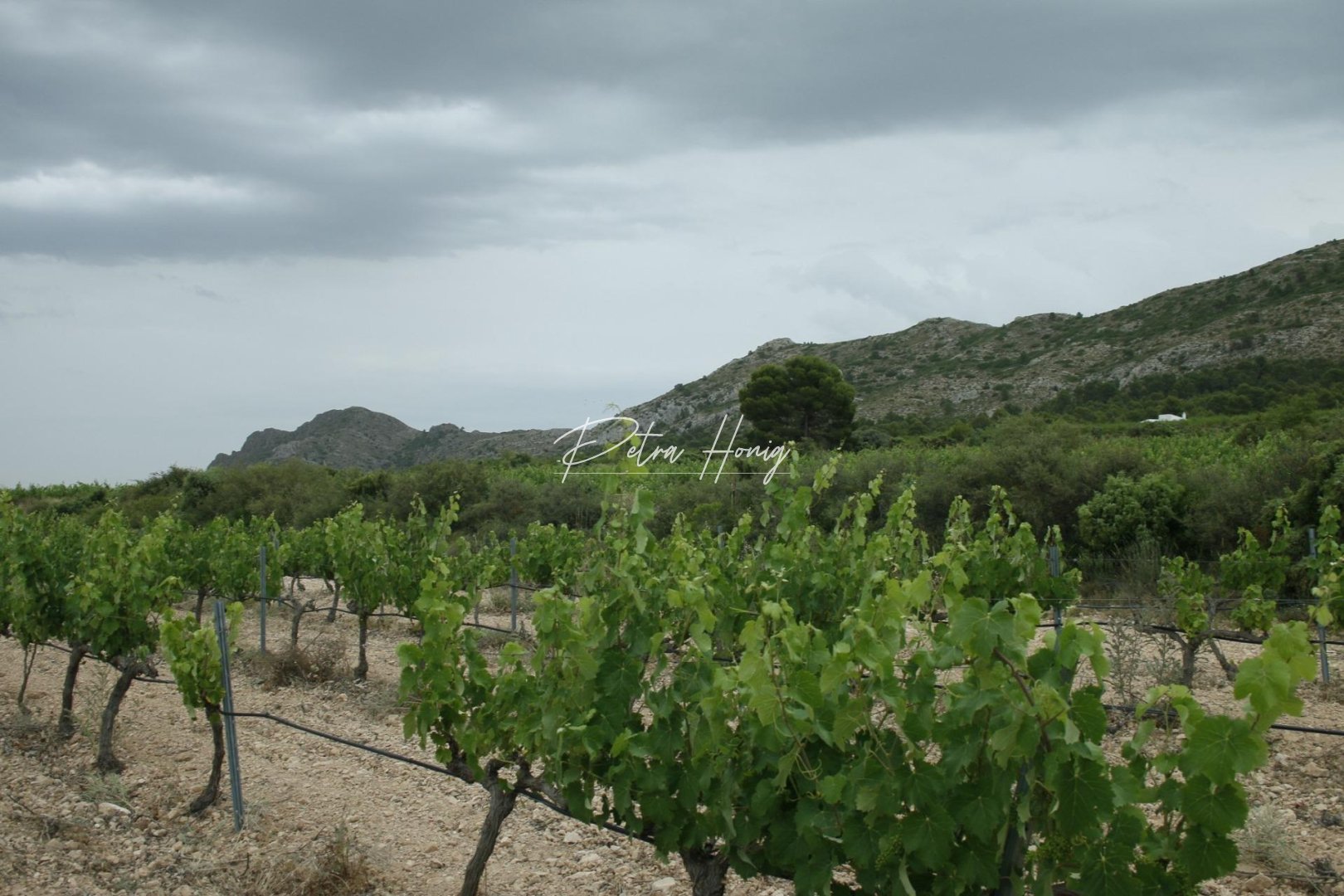 Obra Nueva - Chalet - Other areas - Yecla