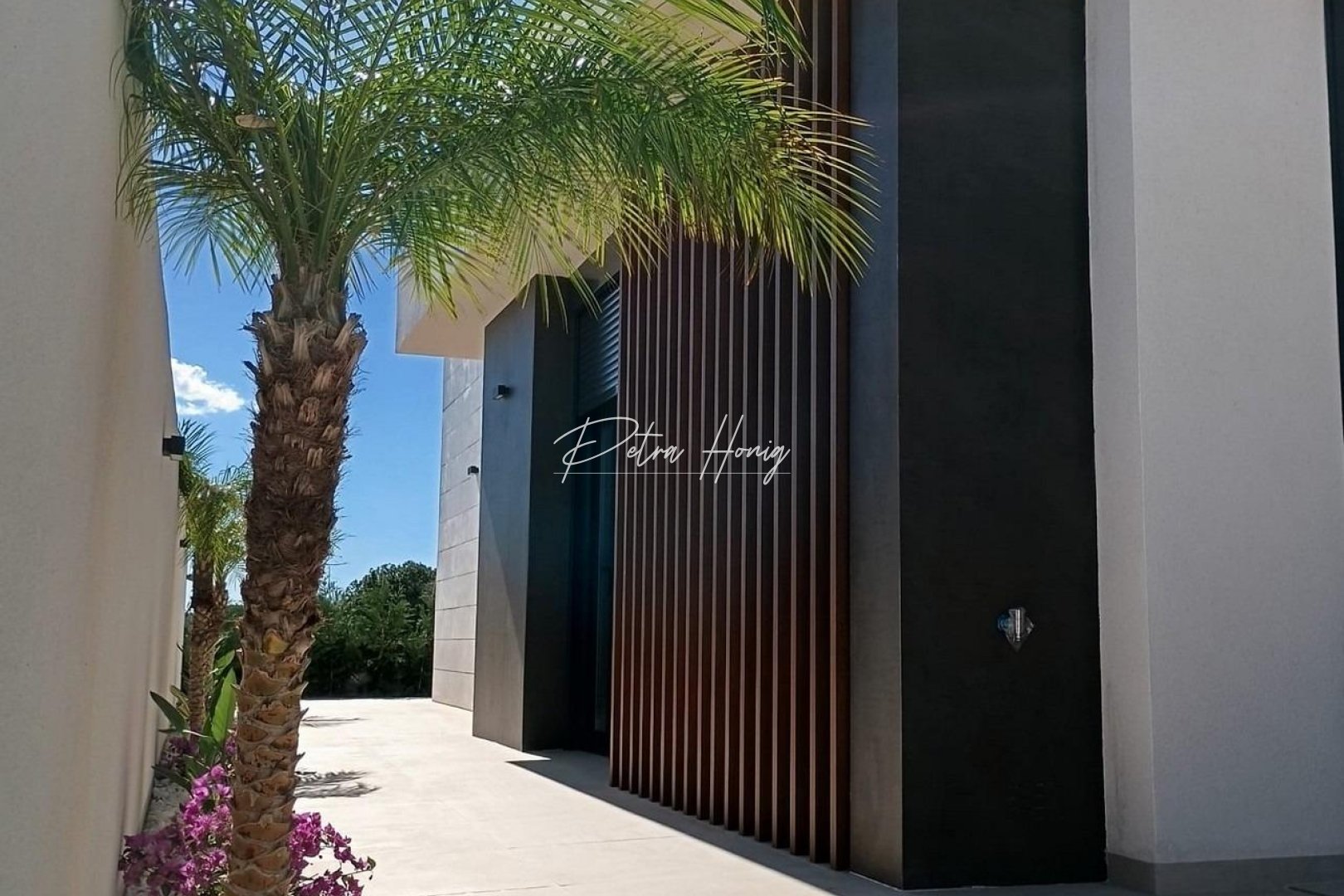 Obra Nueva - Chalet - Pilar de La Horadada - Lo Romero Golf