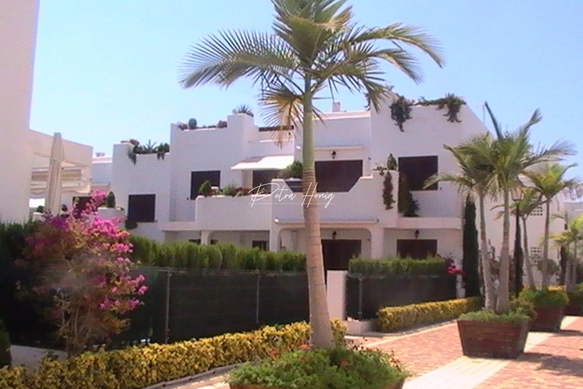 Obra Nueva -  - Other areas - San Juan de los Terreros