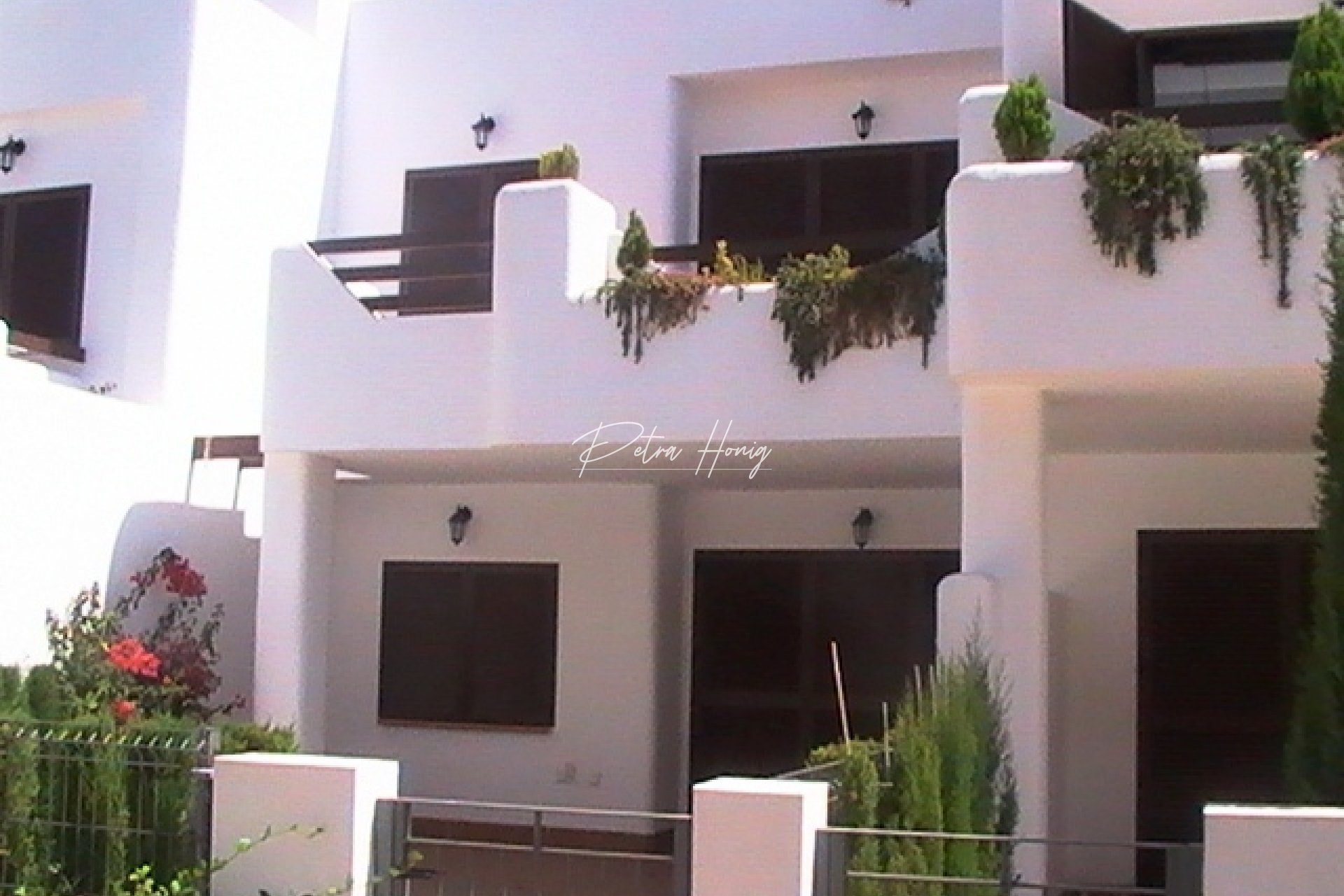 Obra Nueva -  - Other areas - San Juan de los Terreros