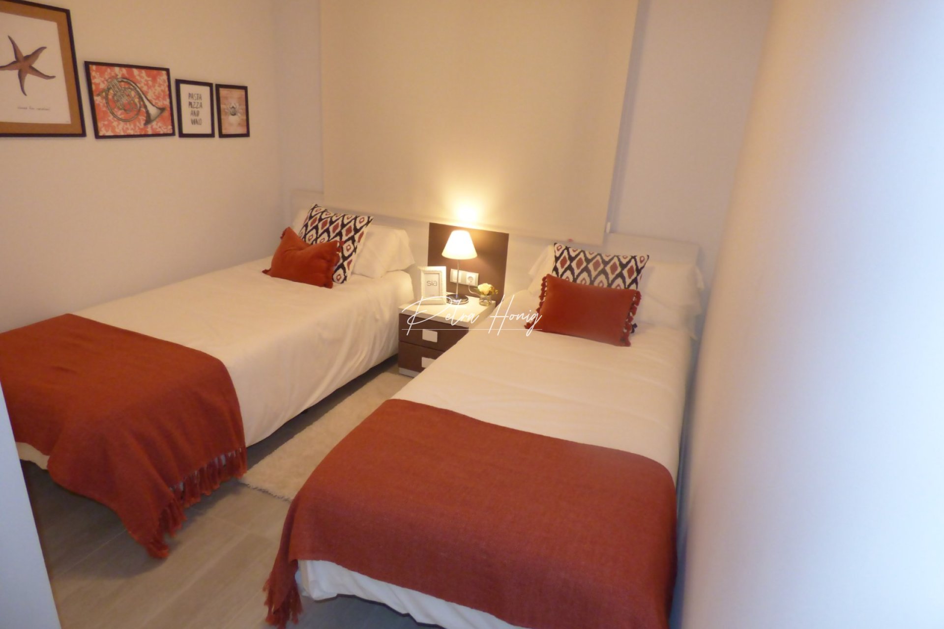 Obra Nueva -  - Other areas - San Juan de los Terreros