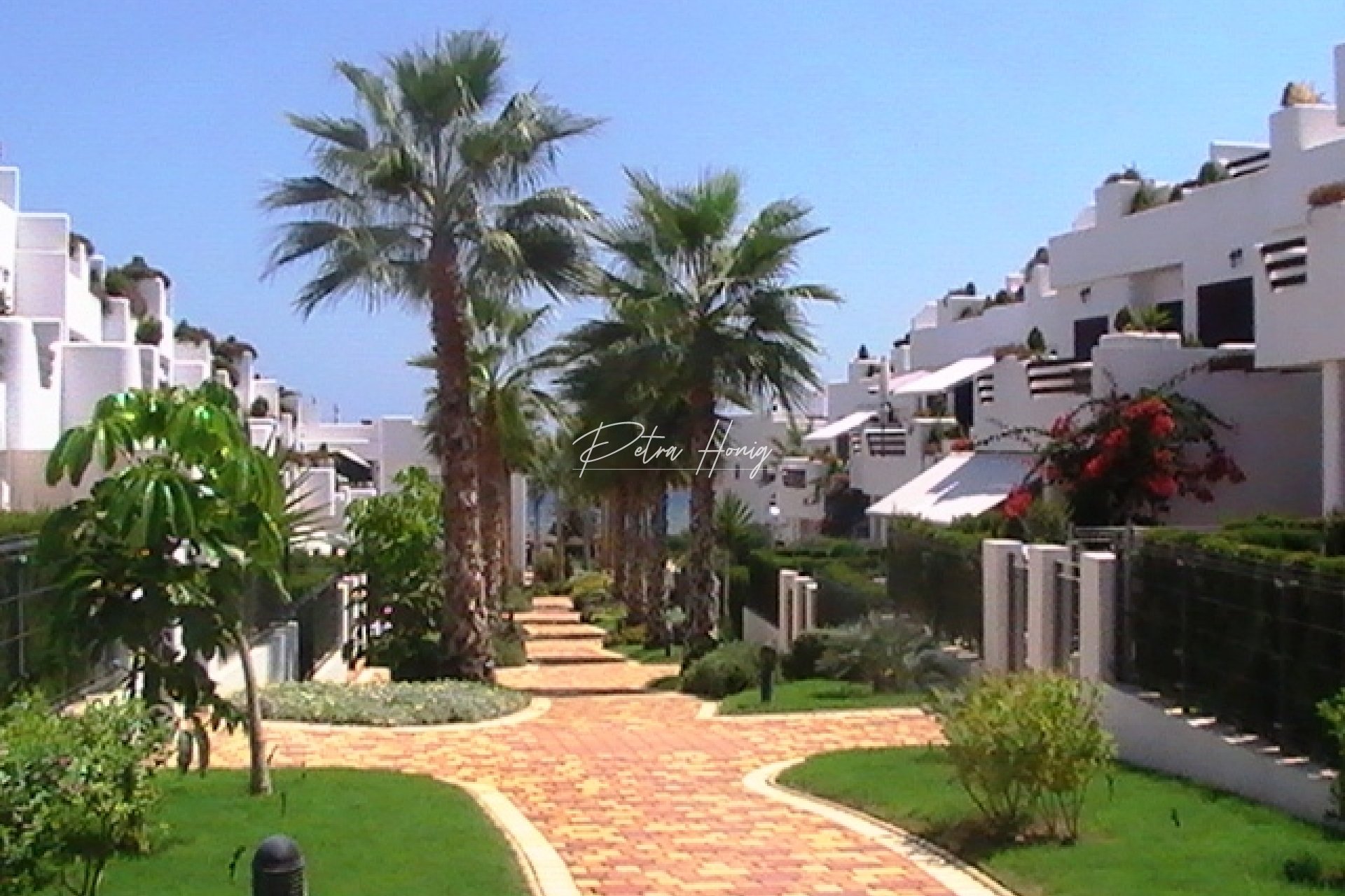 Obra Nueva -  - Other areas - San Juan de los Terreros