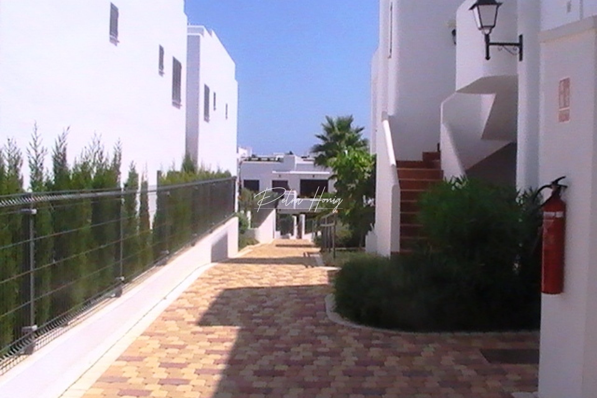 Obra Nueva -  - Other areas - San Juan de los Terreros