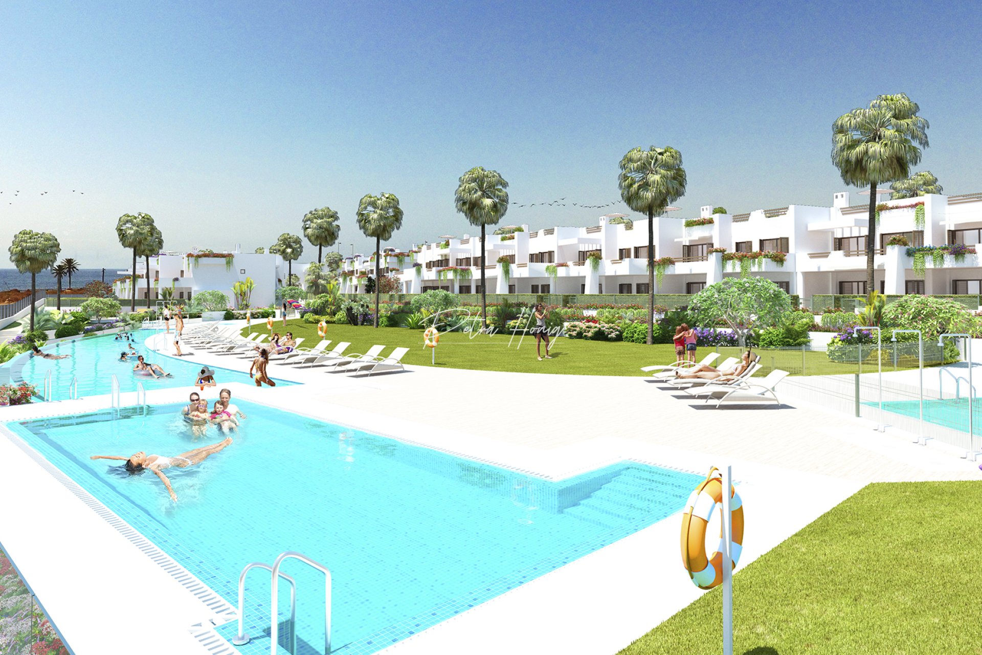 Obra Nueva -  - Other areas - San Juan de los Terreros