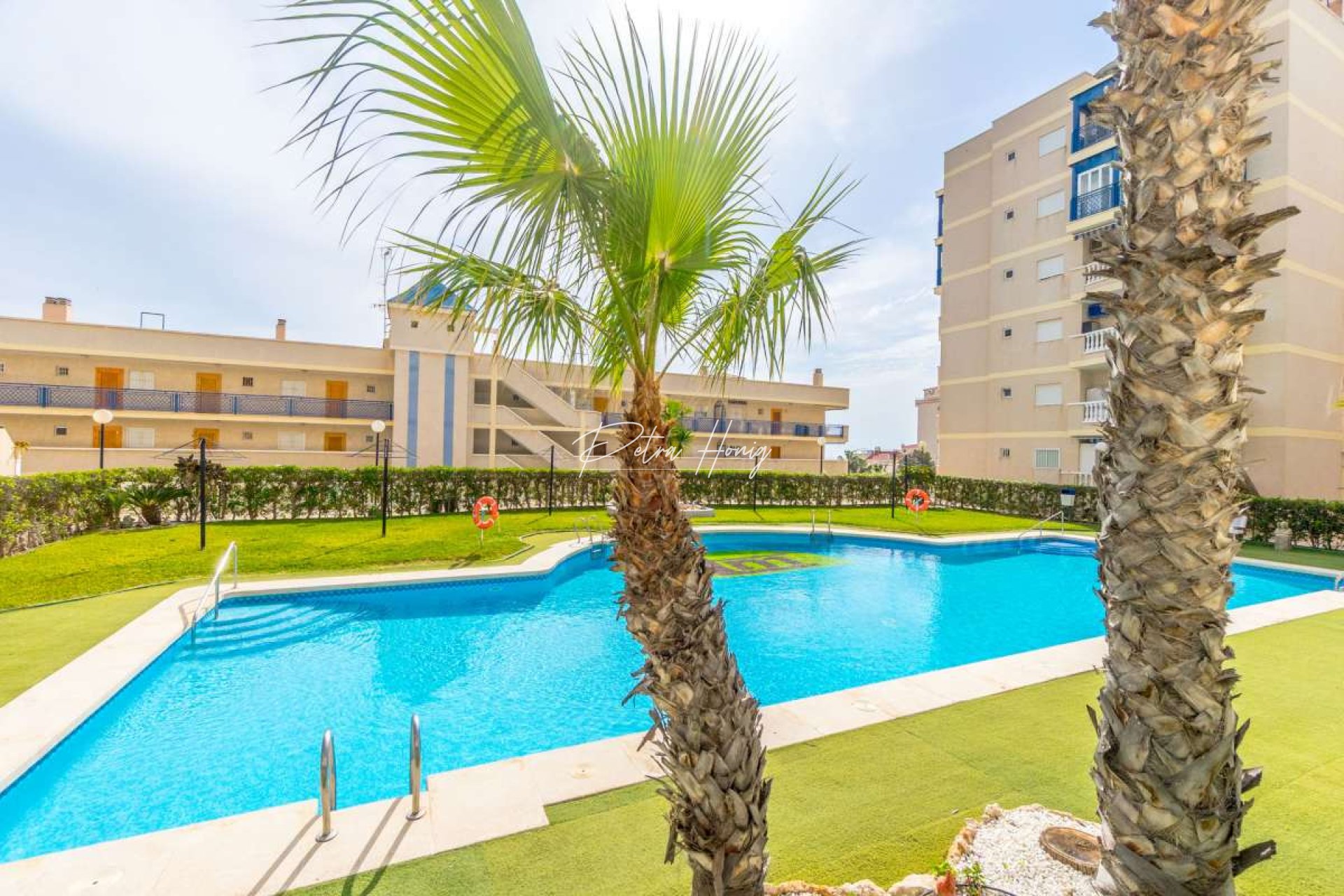 Resales - Apartment - Arenales del Sol
