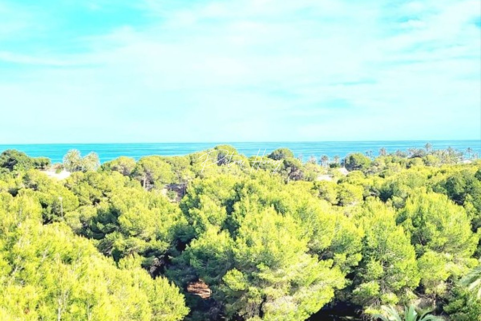 Resales - Apartment - Campoamor - Dehesa De Campoamor