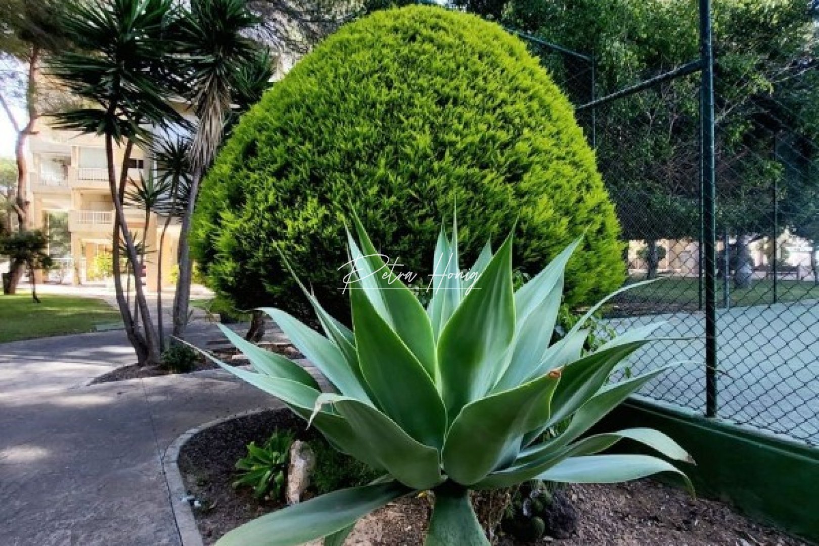 Resales - Apartment - Campoamor - Dehesa De Campoamor