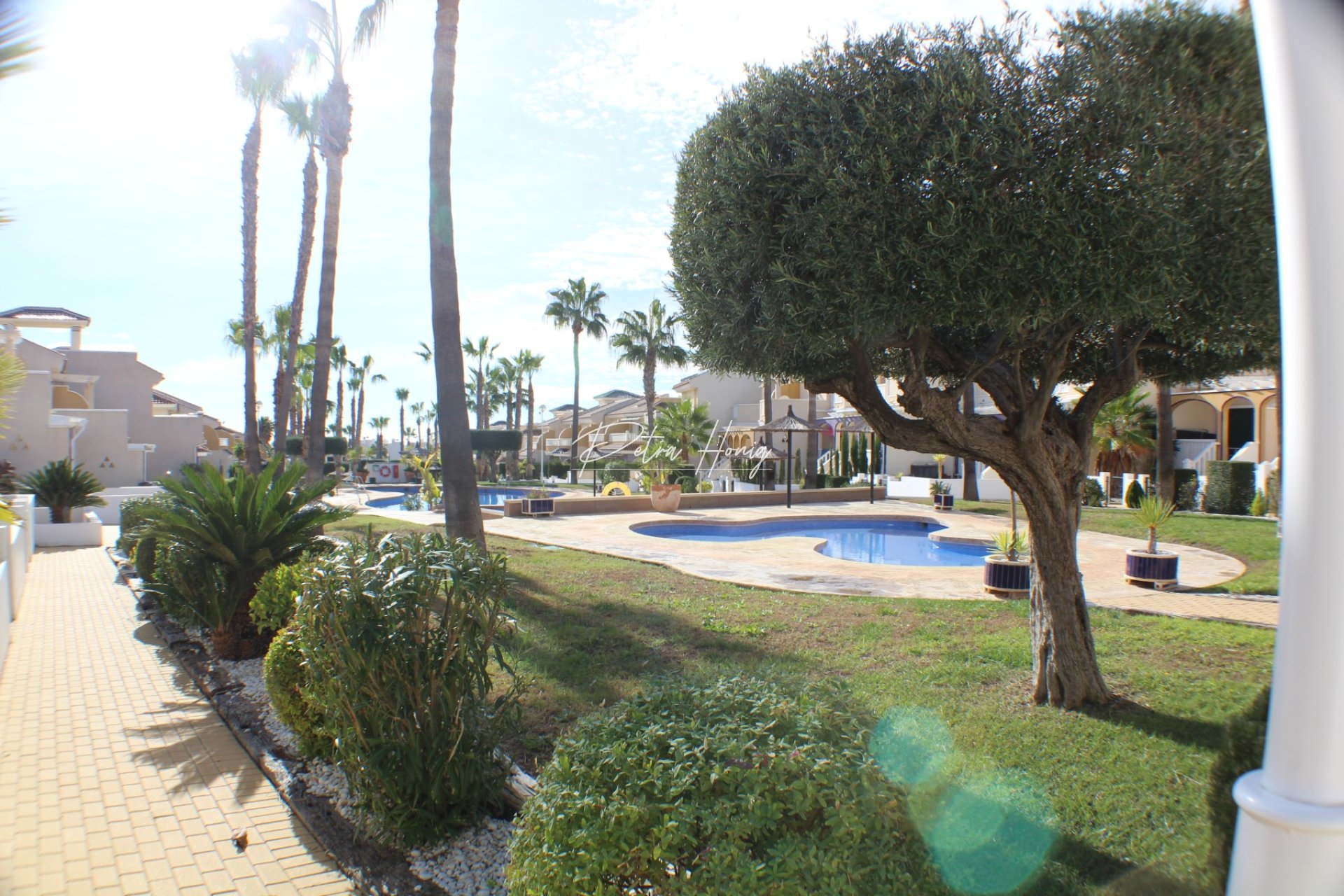 Resales - Apartment - Ciudad Quesada - Dona Pepa