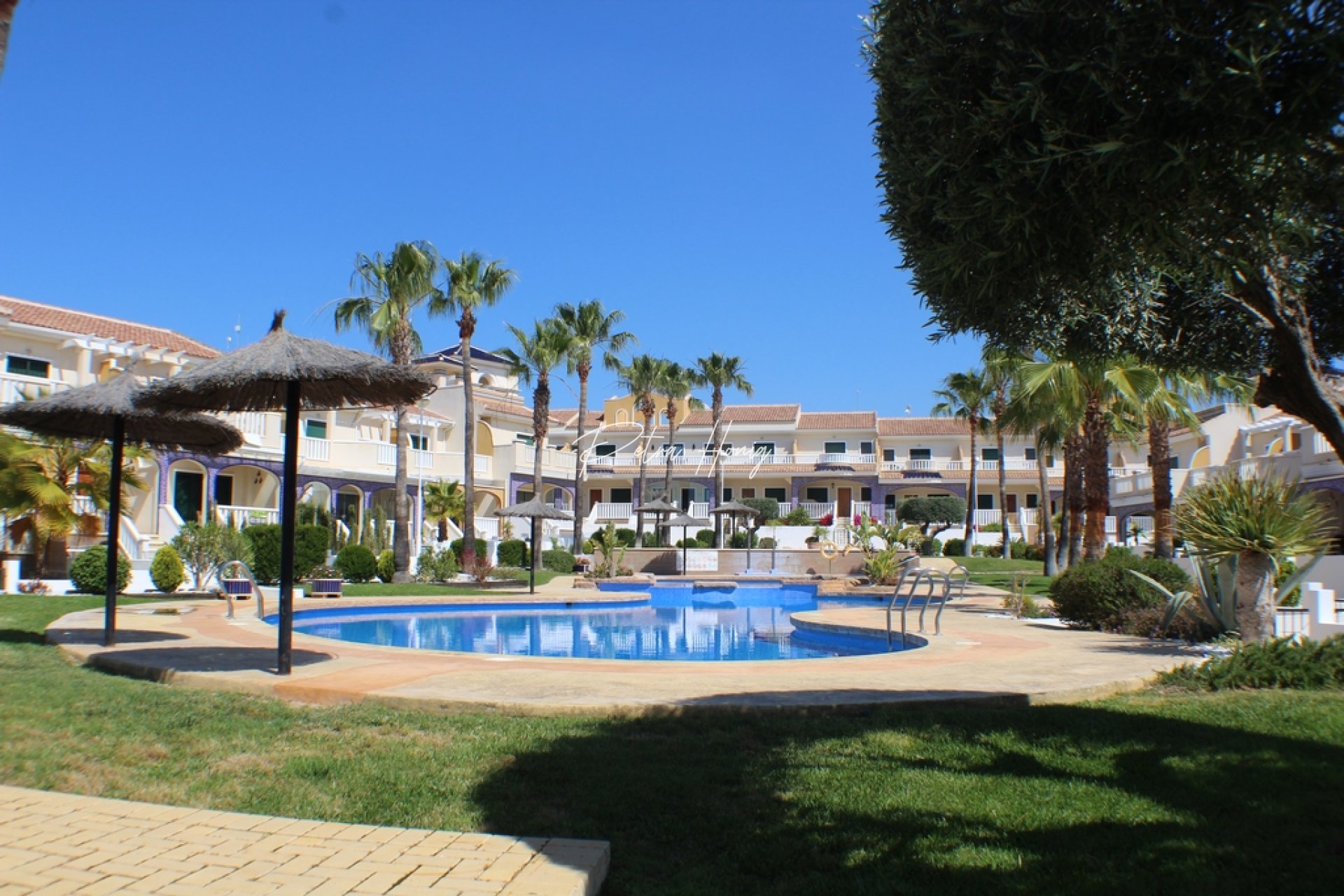 Resales - Apartment - Ciudad Quesada - Dona Pepa
